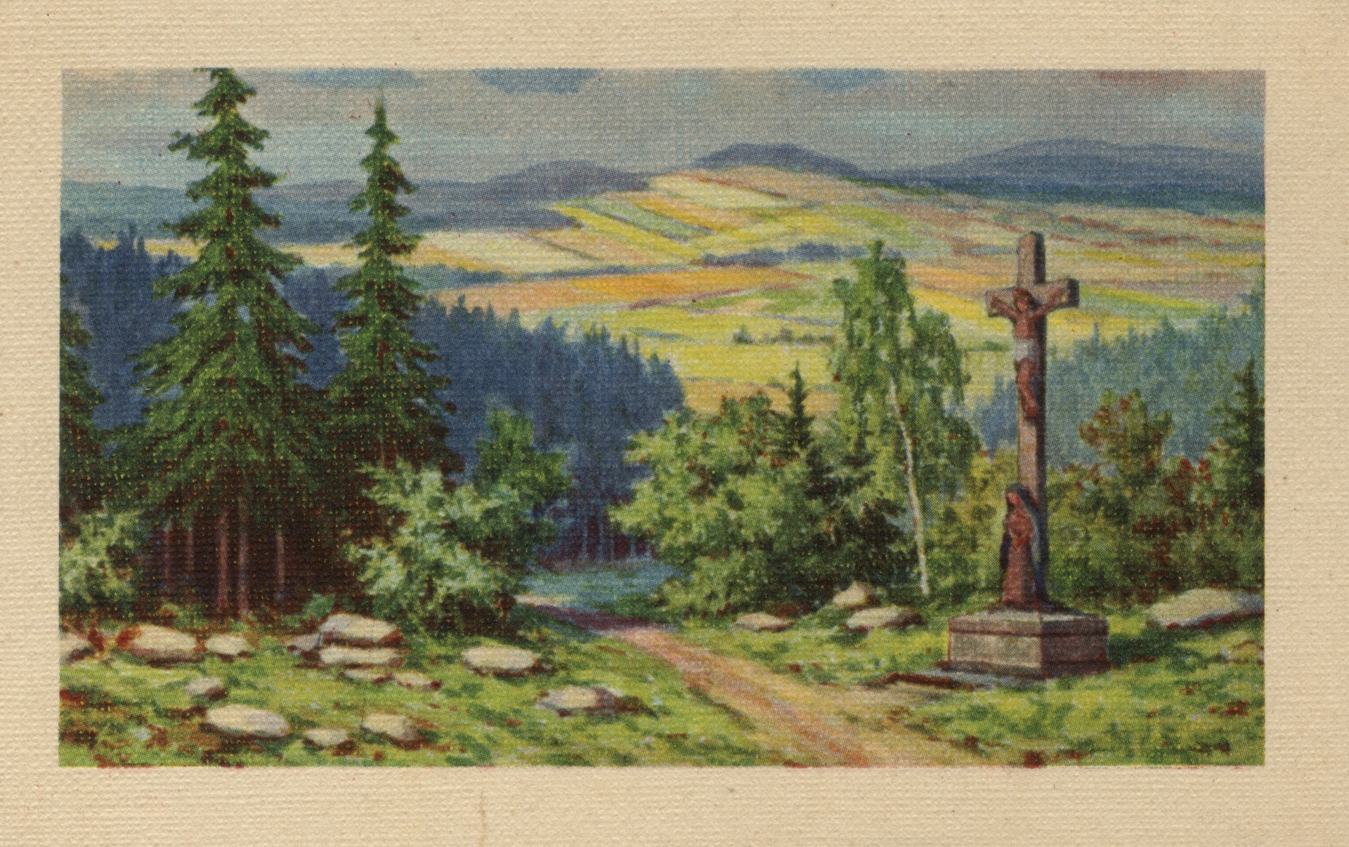 Из лесной глуши