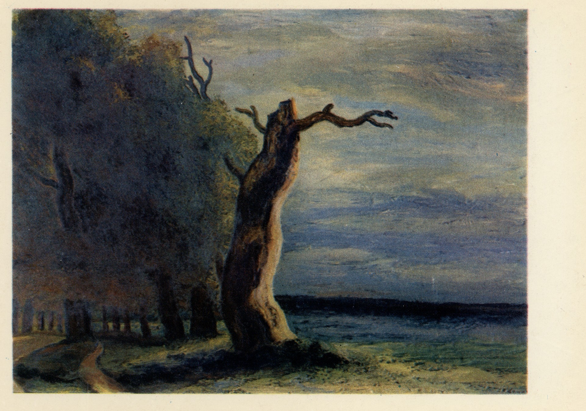 Сухое дерево