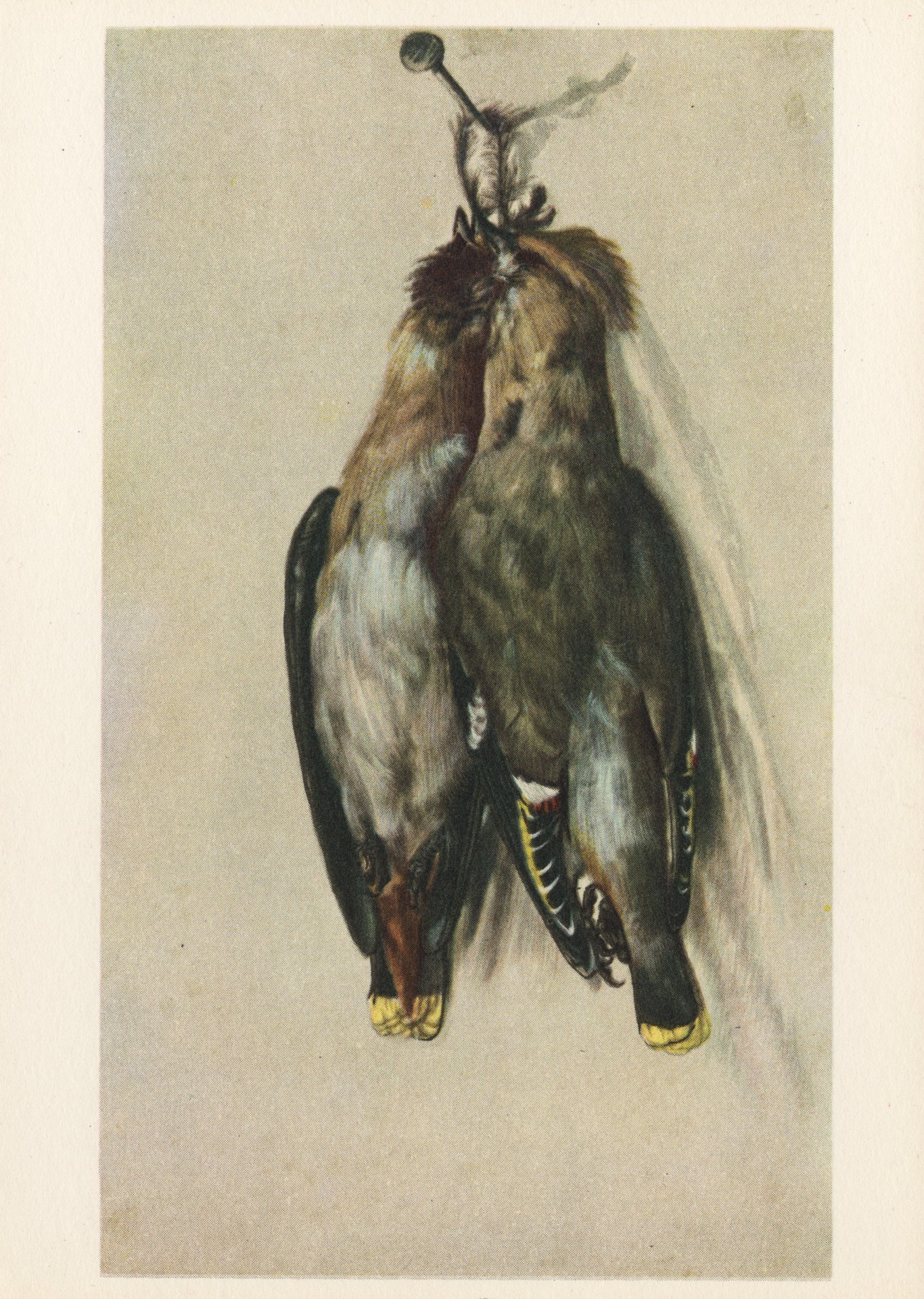 Две мёртвые птицы