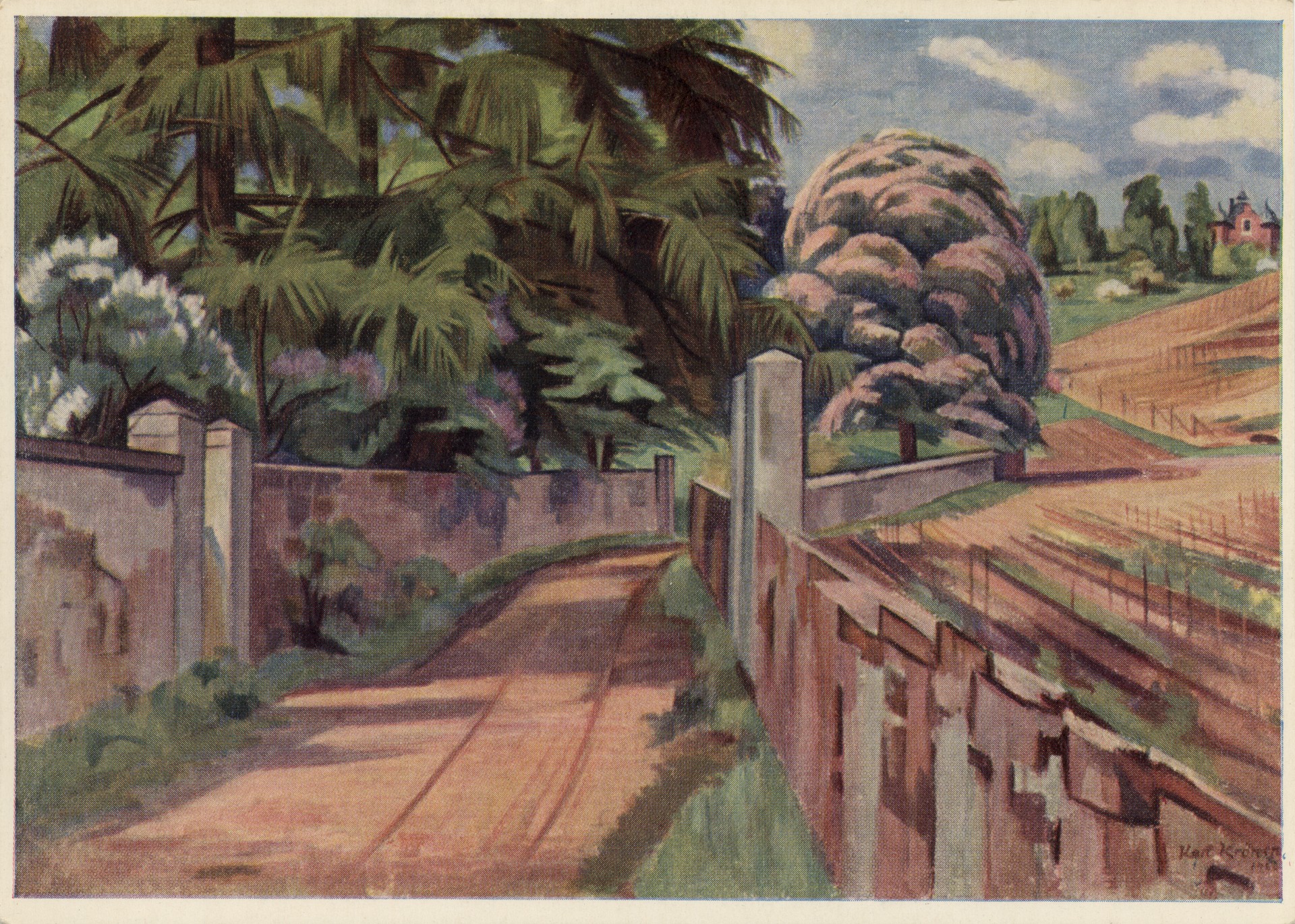 Цветущие глицинии