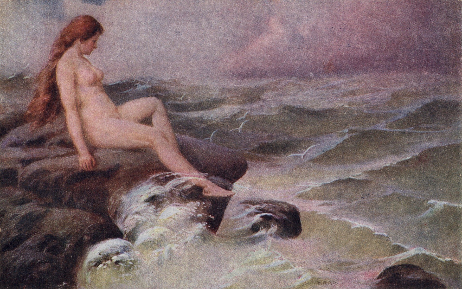 Королева чаек