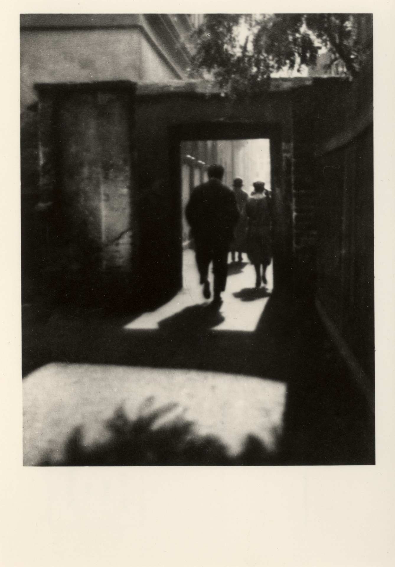 Против света