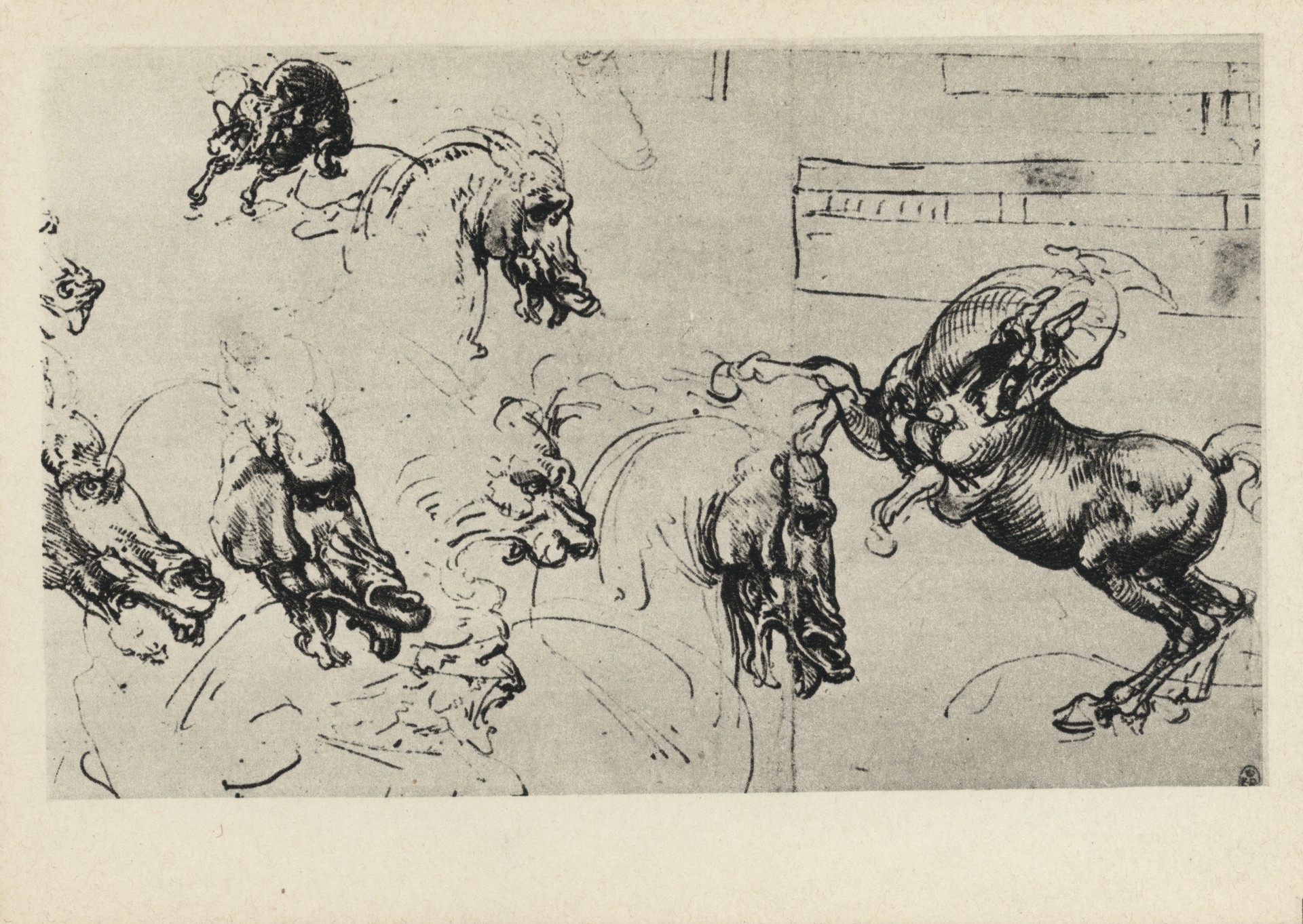 Наброски коней для росписи Битва при Ангиари