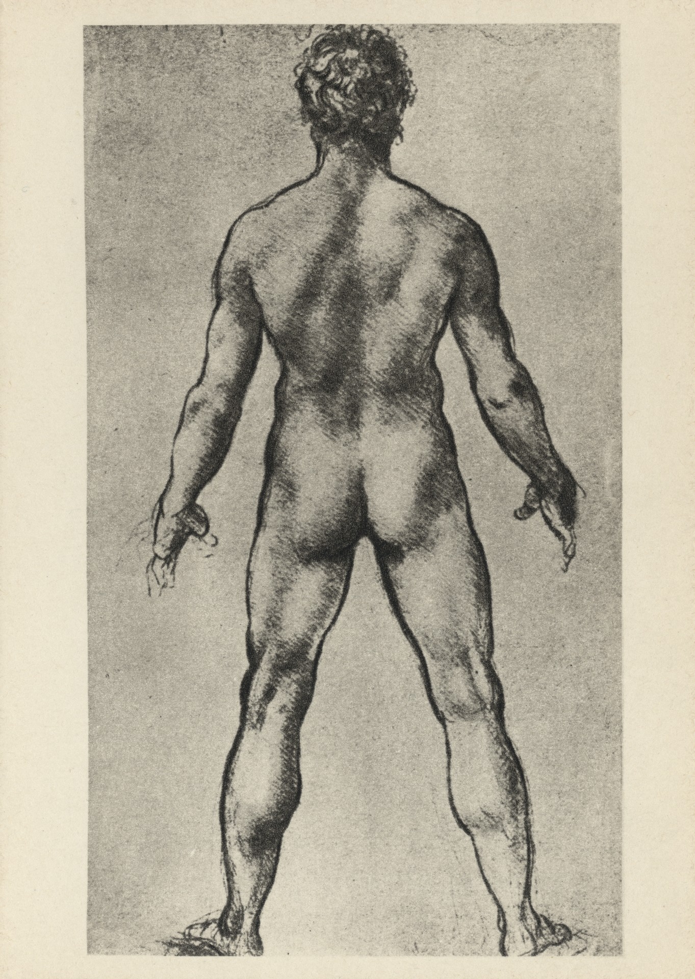 Натурный этюд мужской обнажённой фигуры