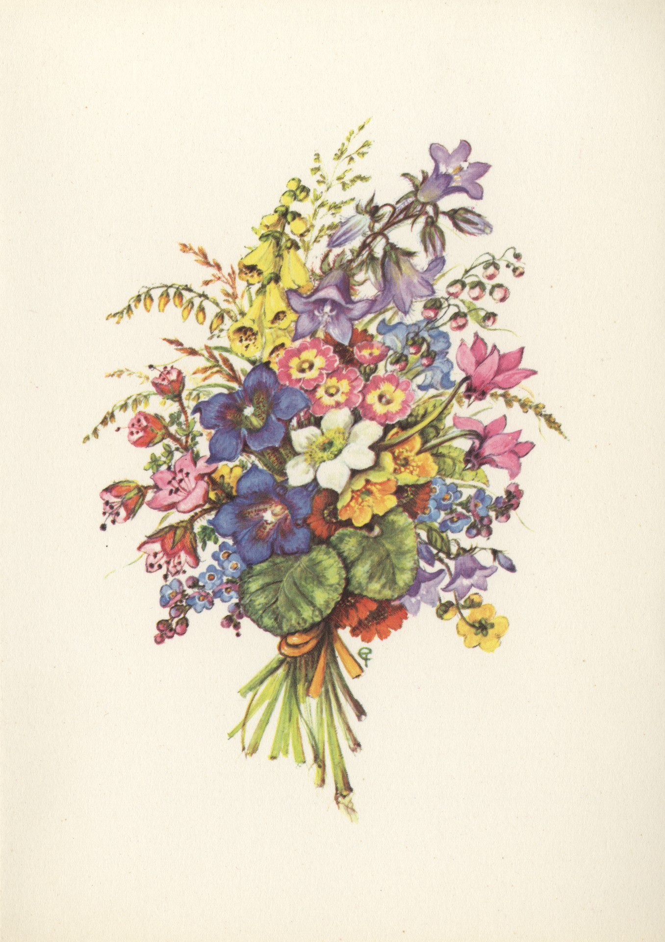 Альпийские цветы