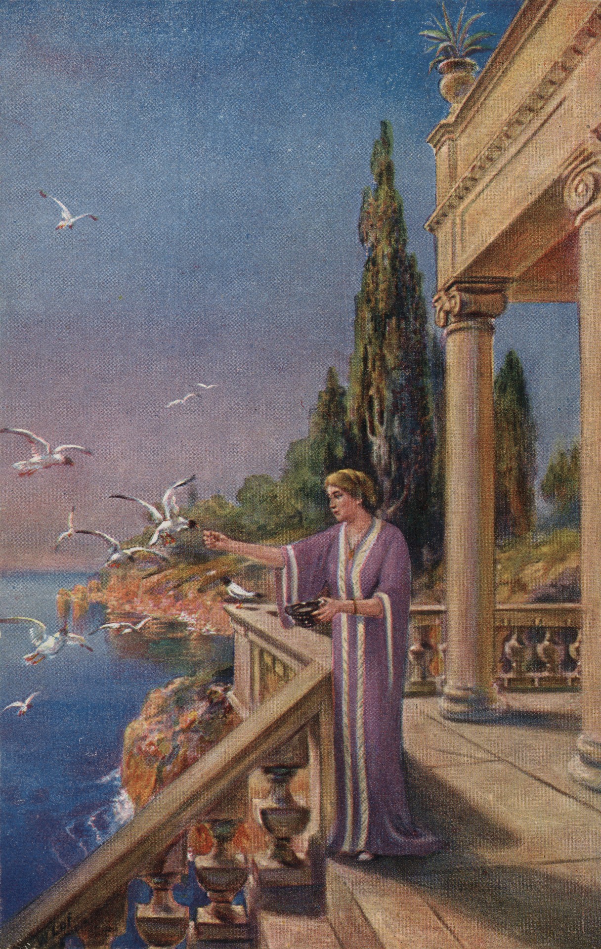 Кормление чаек