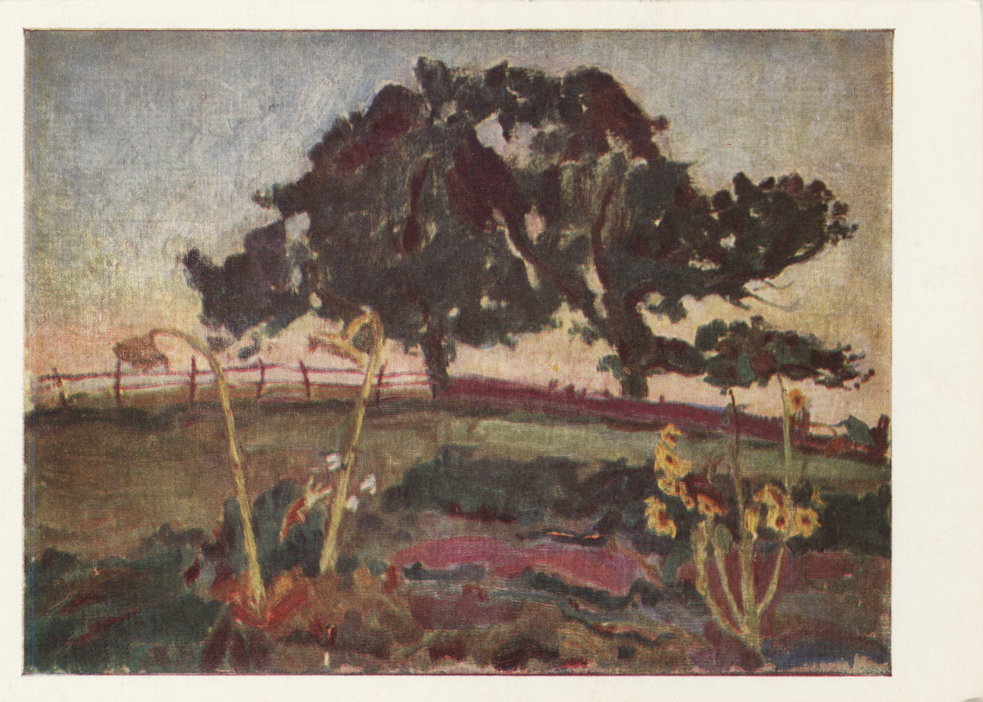 Летний вечер