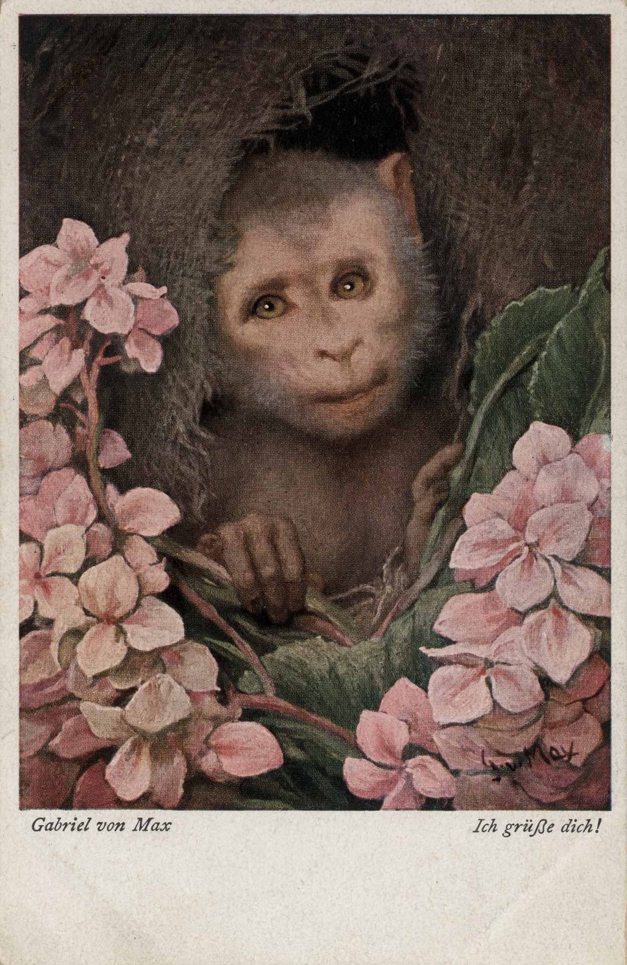 Я приветсвую тебя