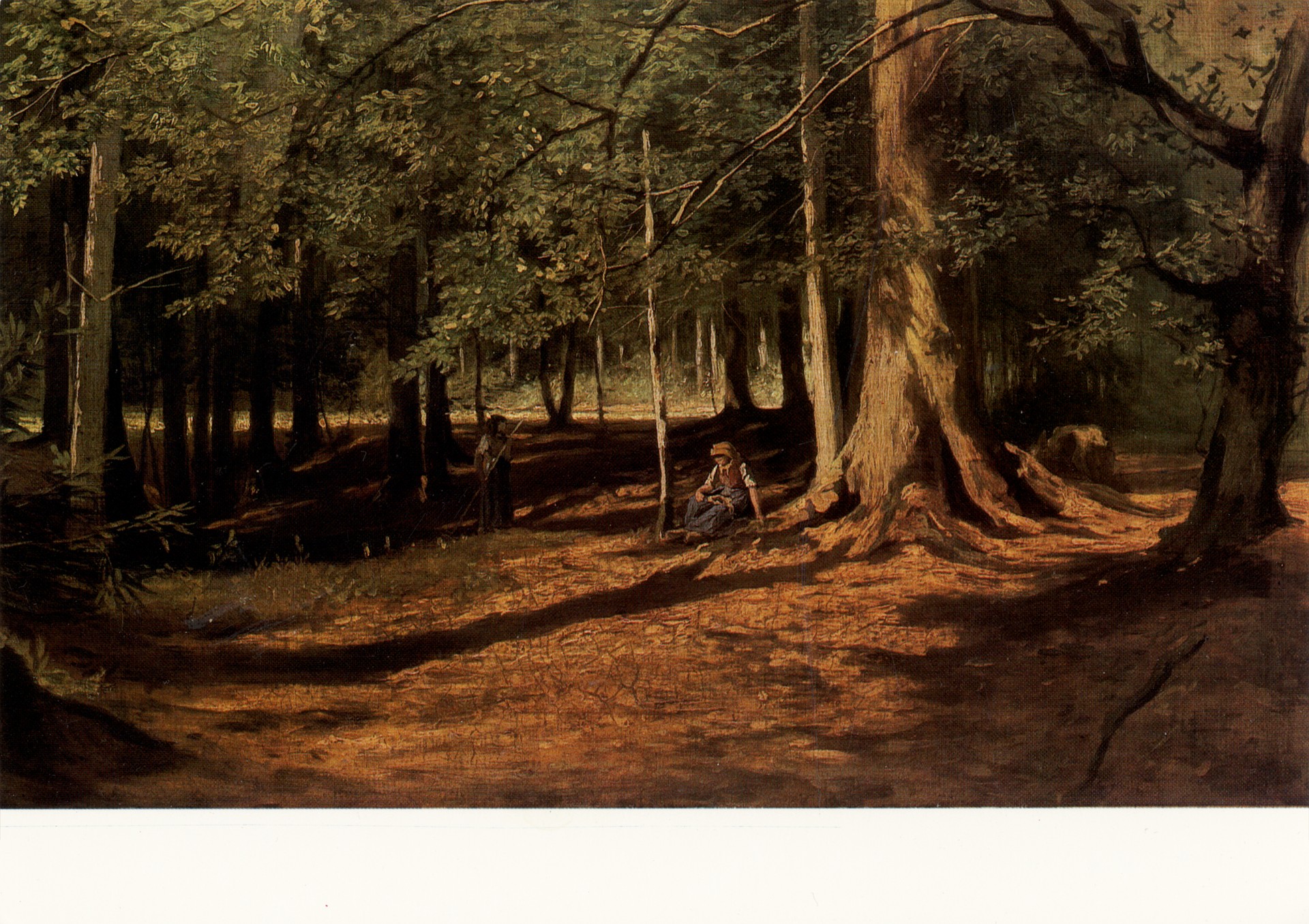 На опушке леса