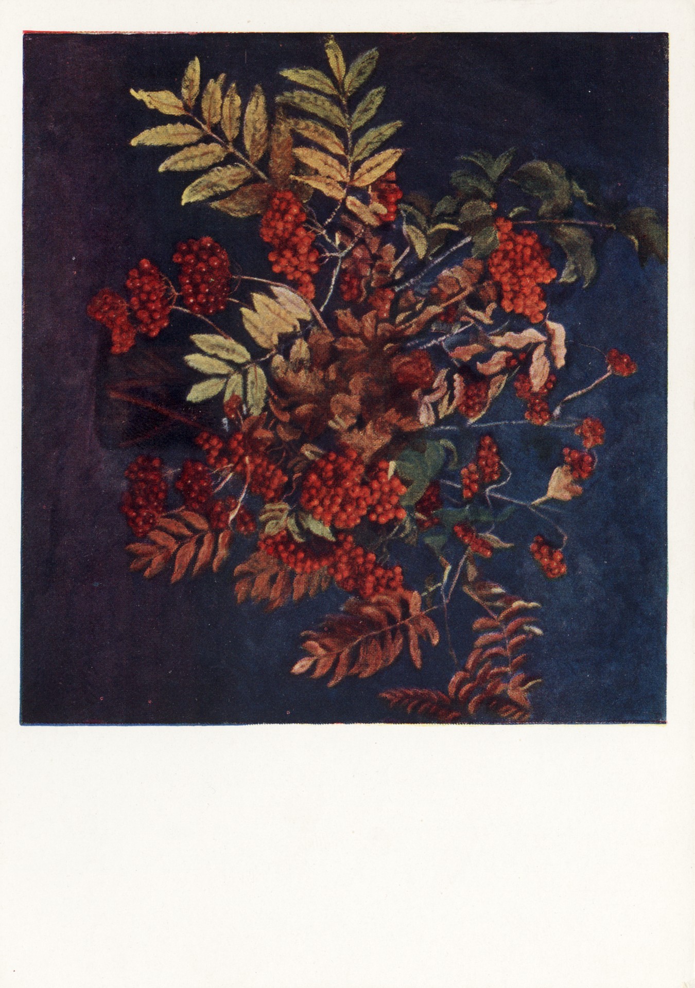 Калина-Рябина