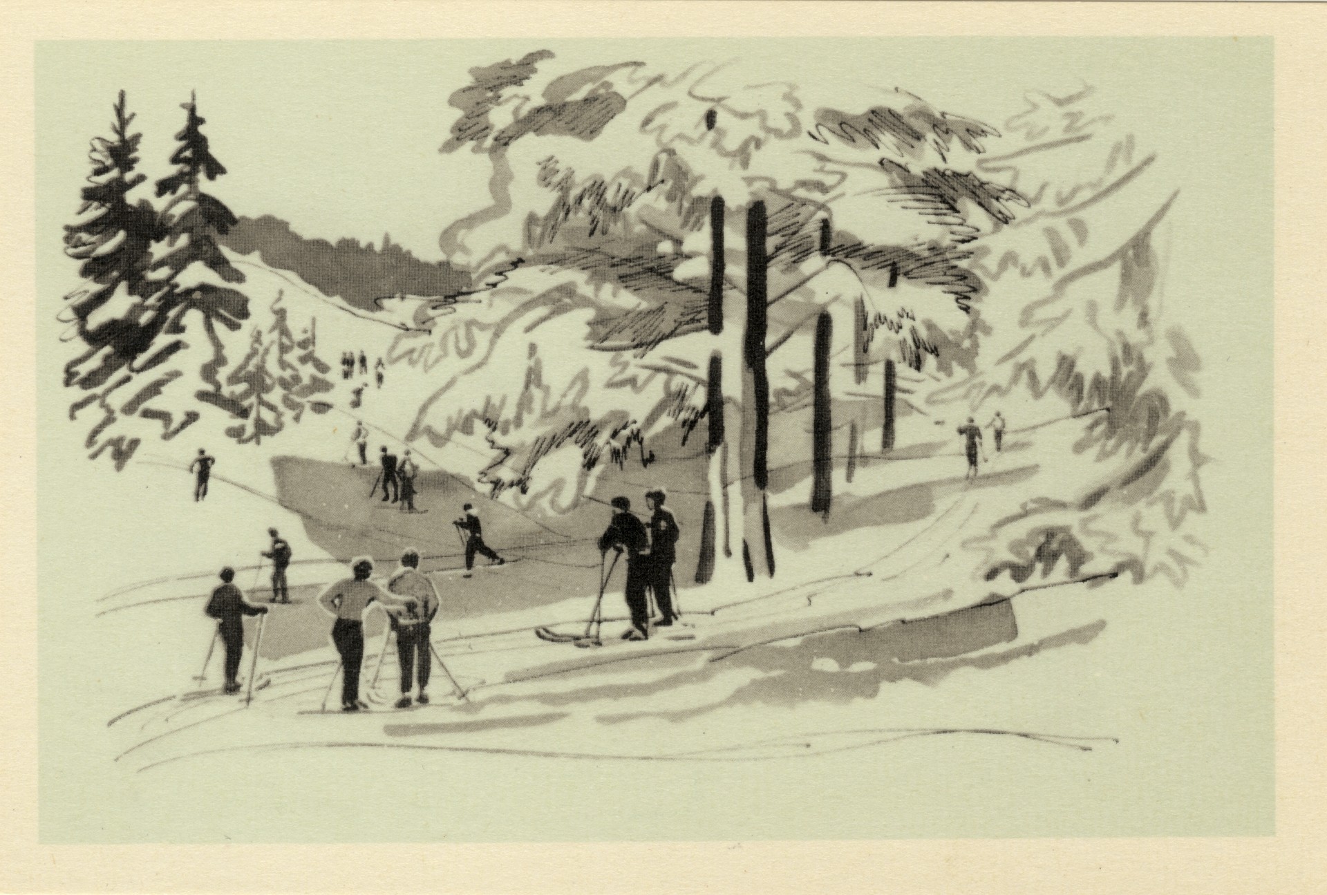 Лыжная прогулка