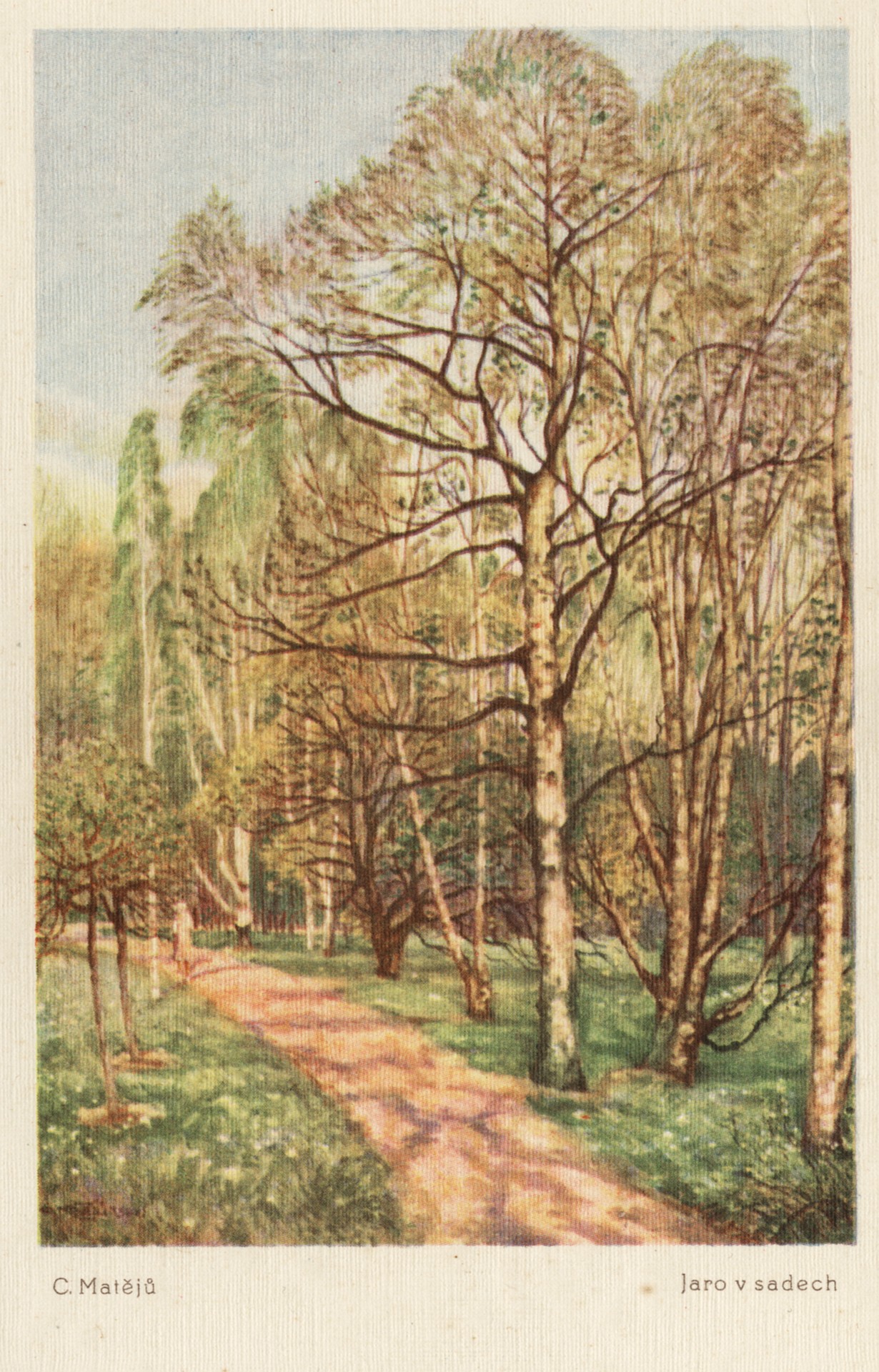 Дорога в старом саду. Весна