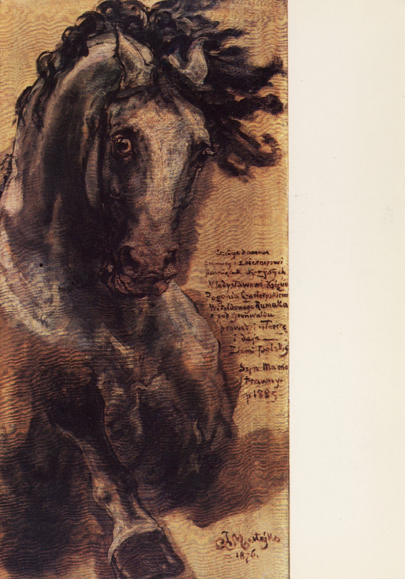 Конь в голопе