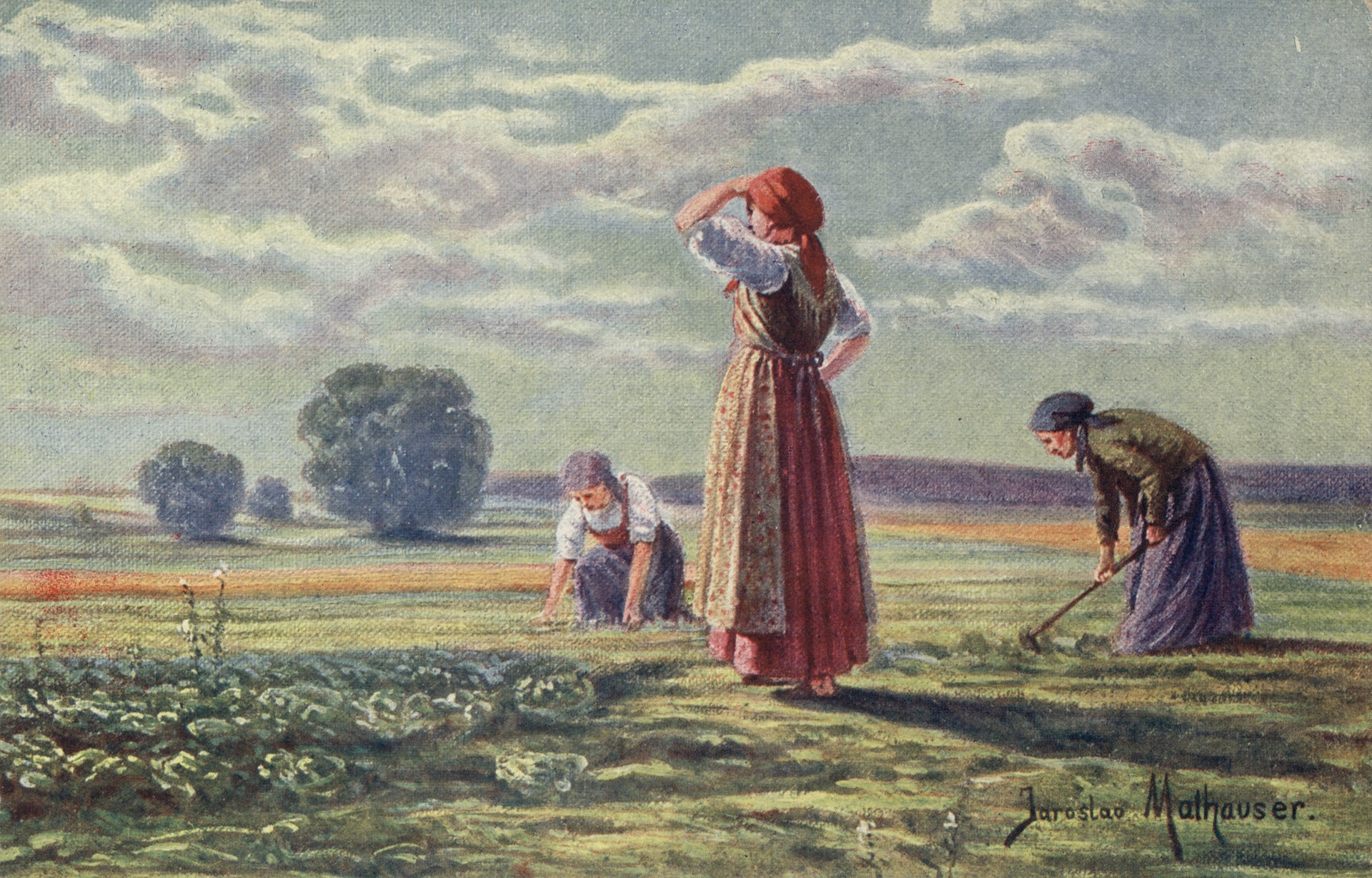 Полевые работы