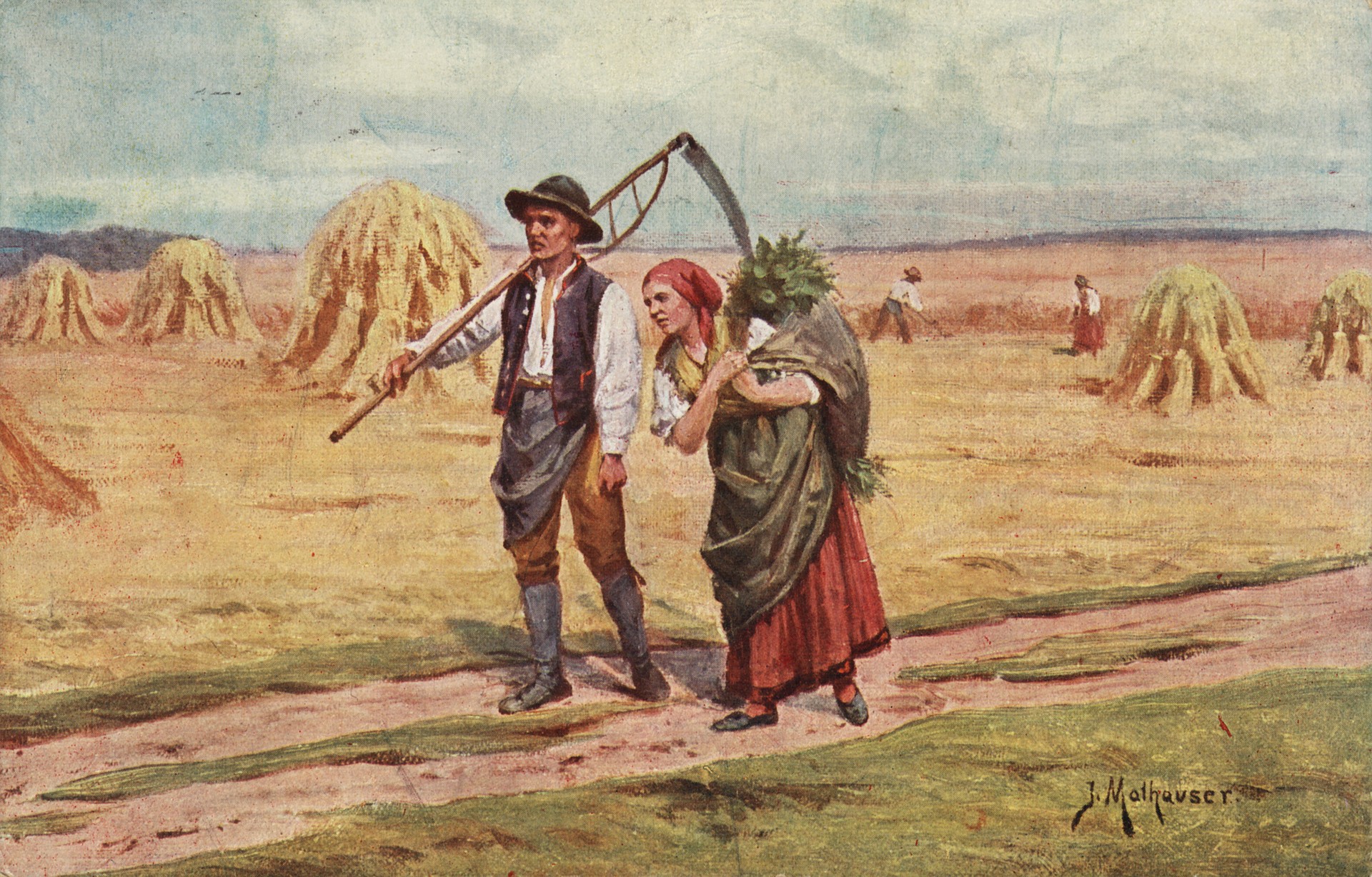 Возвращение с поля