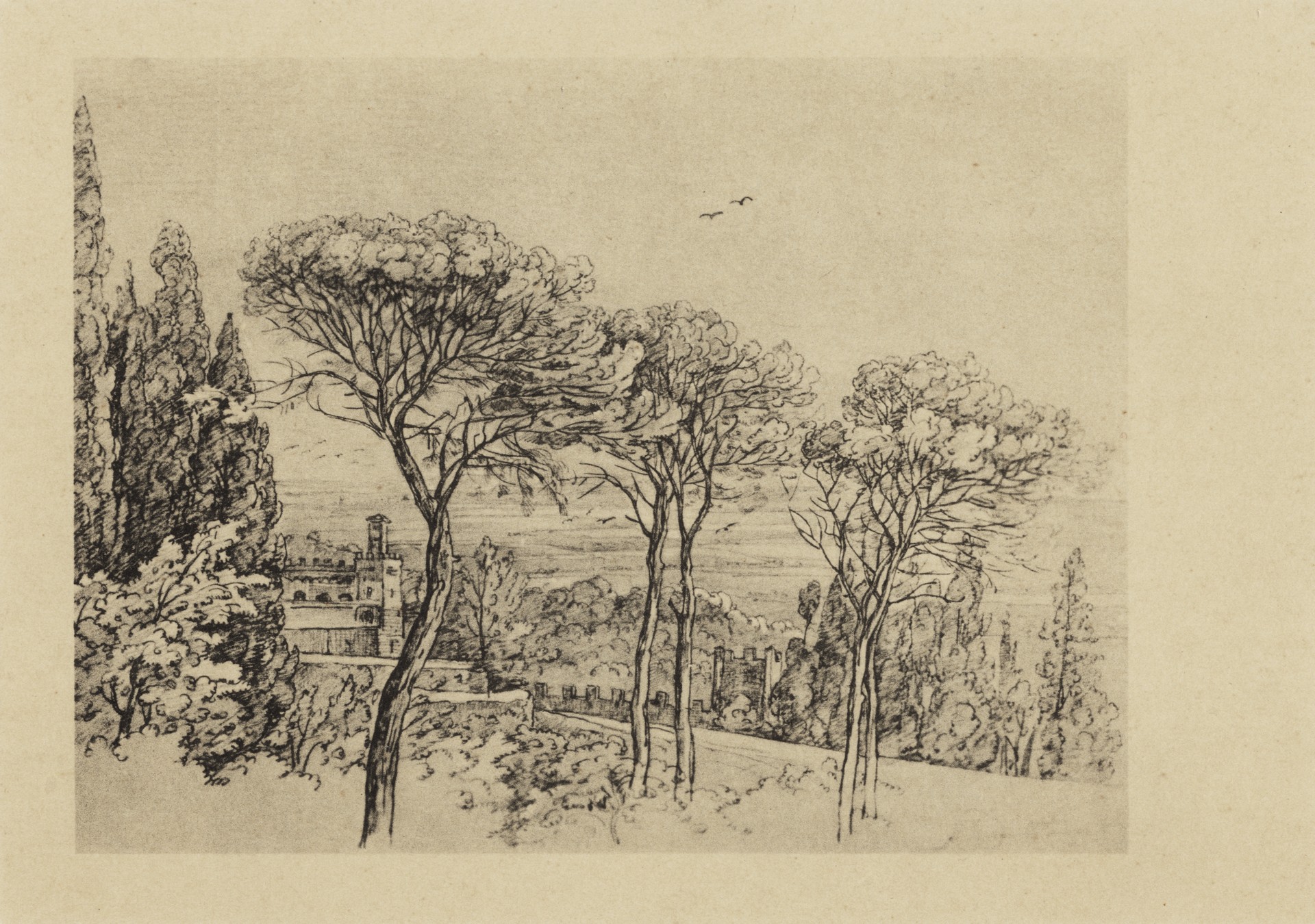 Итальянский вид