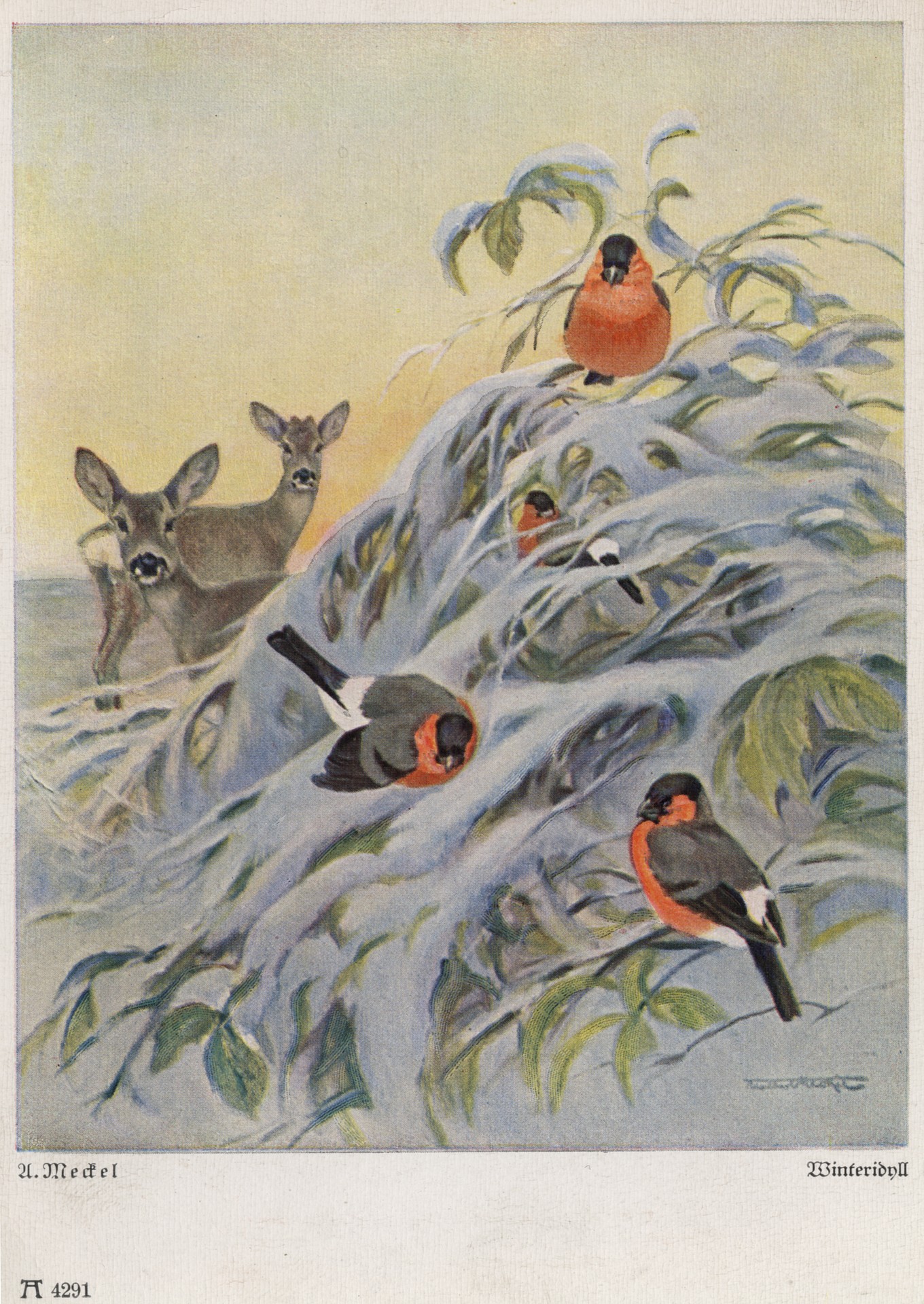 Зимняя картина