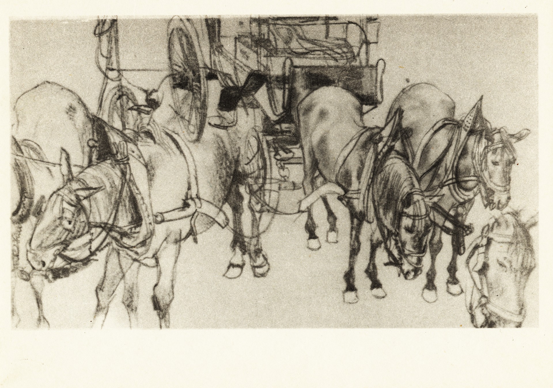 Лошади в упряжке