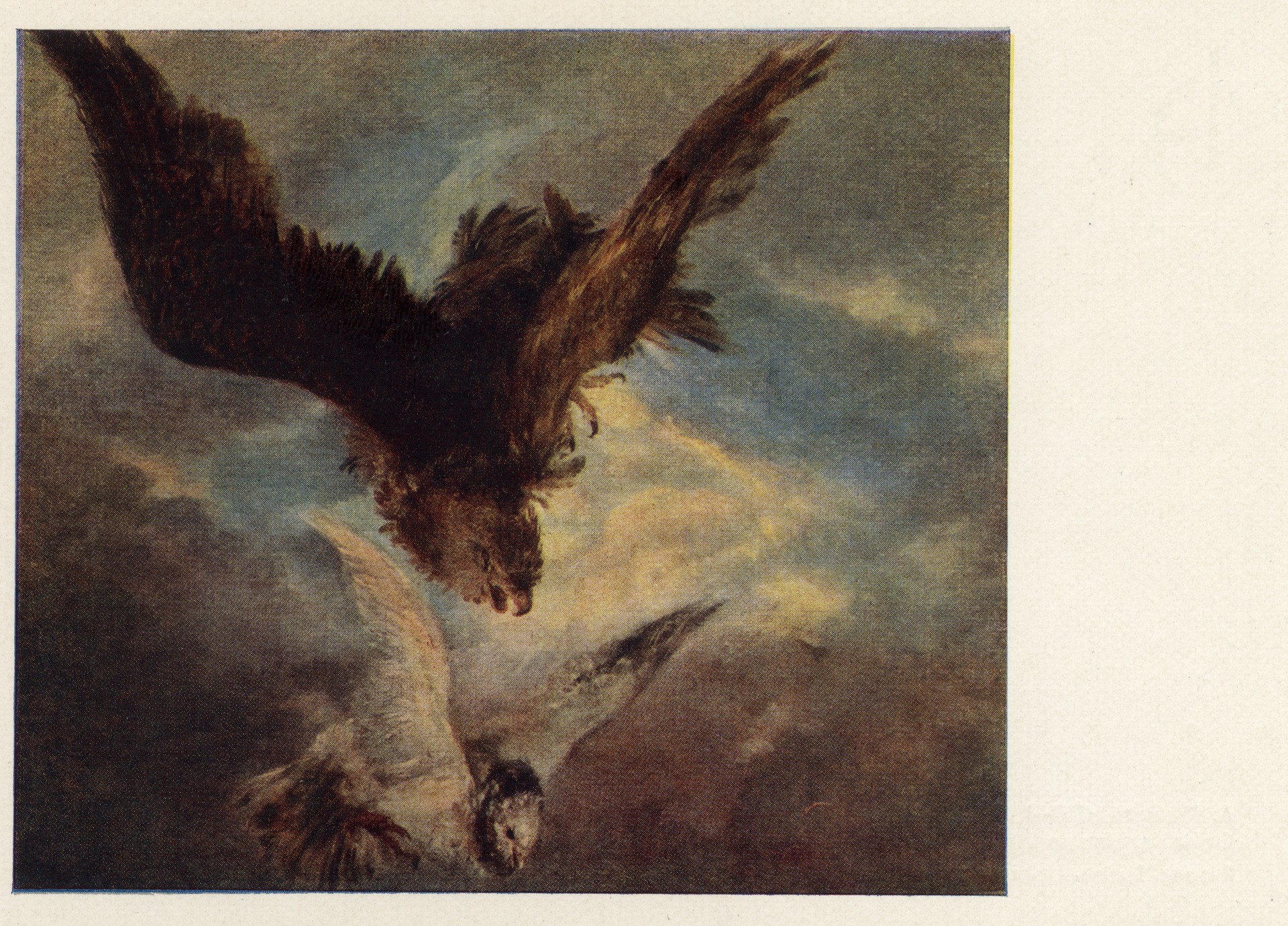 Сокол, преследующий голубя