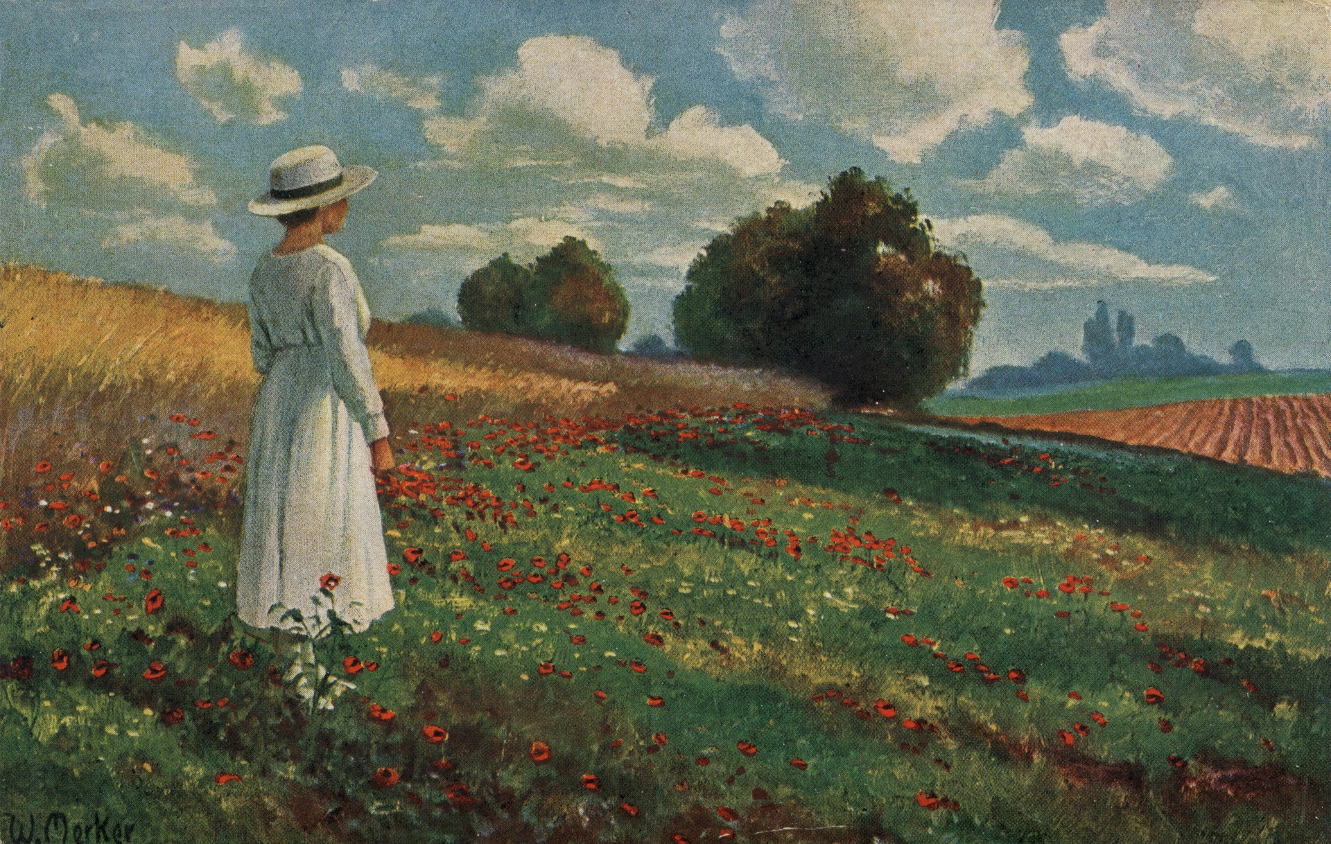 Луг в цветах