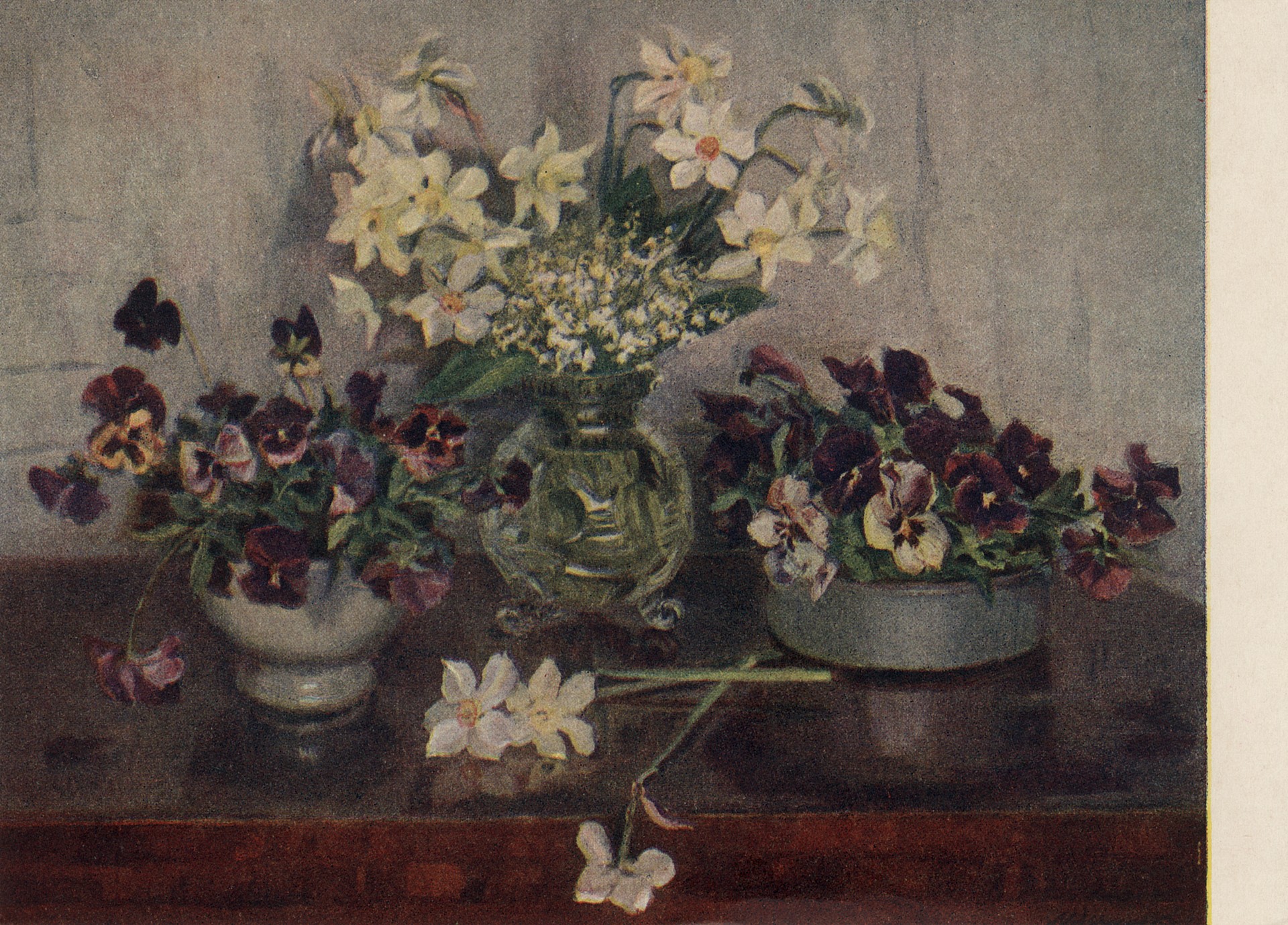 Нарциссы и анютины глазки