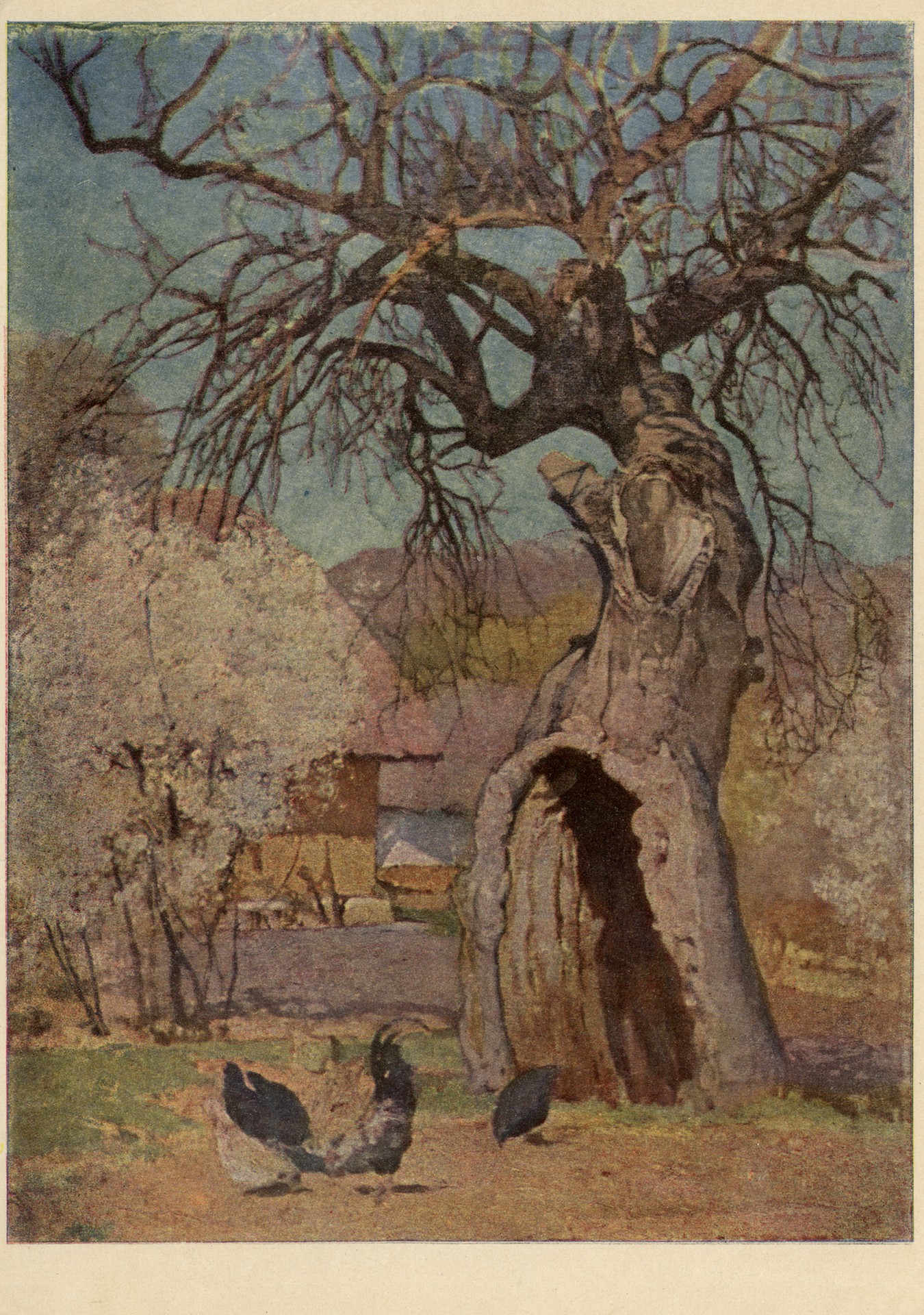 Дуплистое дерево