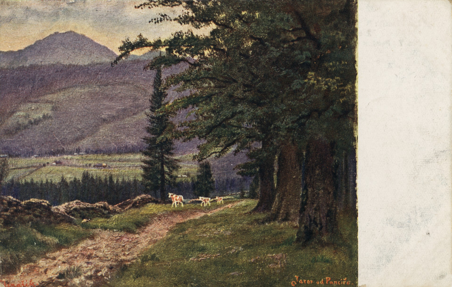 Вид на Явор из Панцире