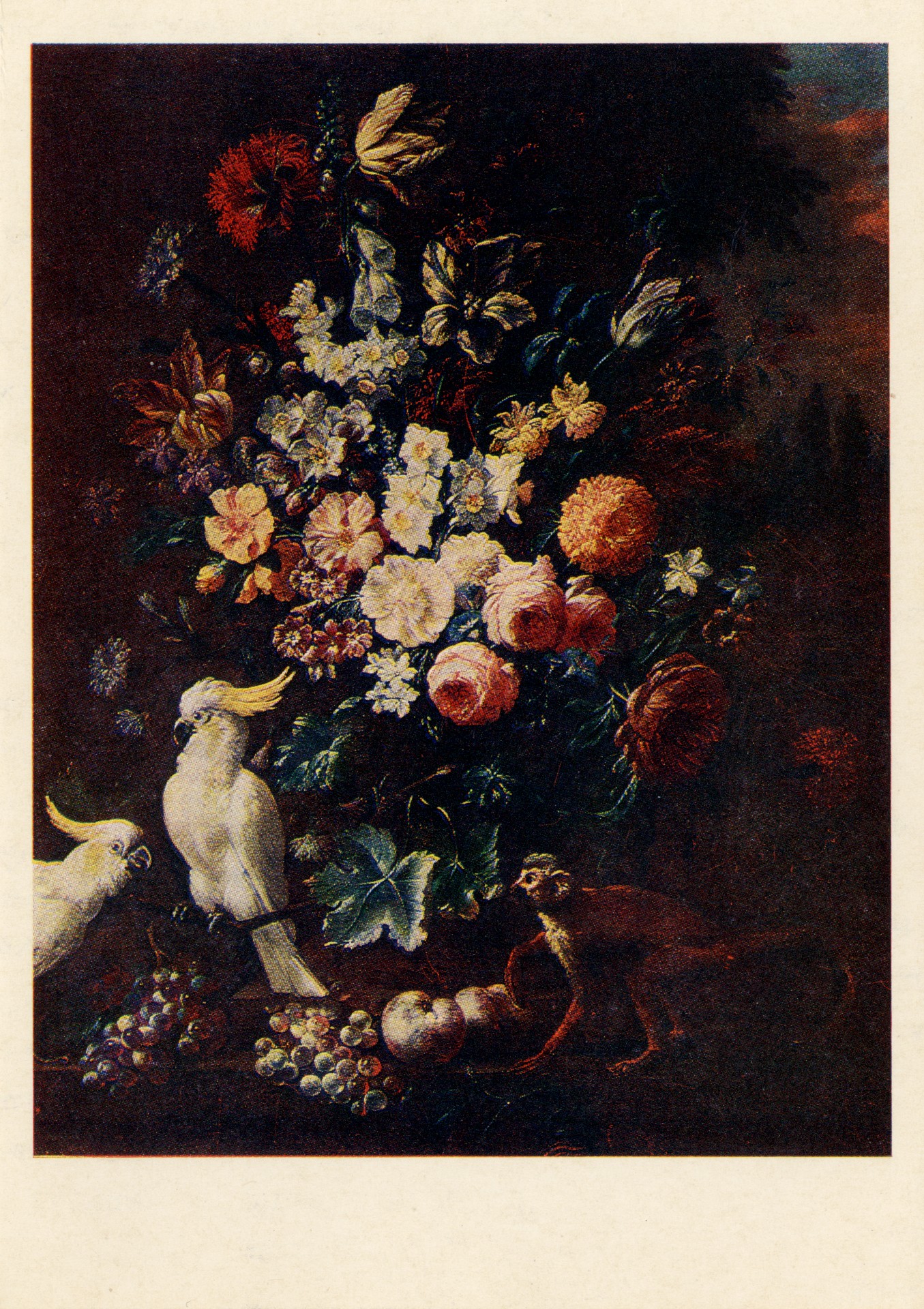 Натюрморт с какаду