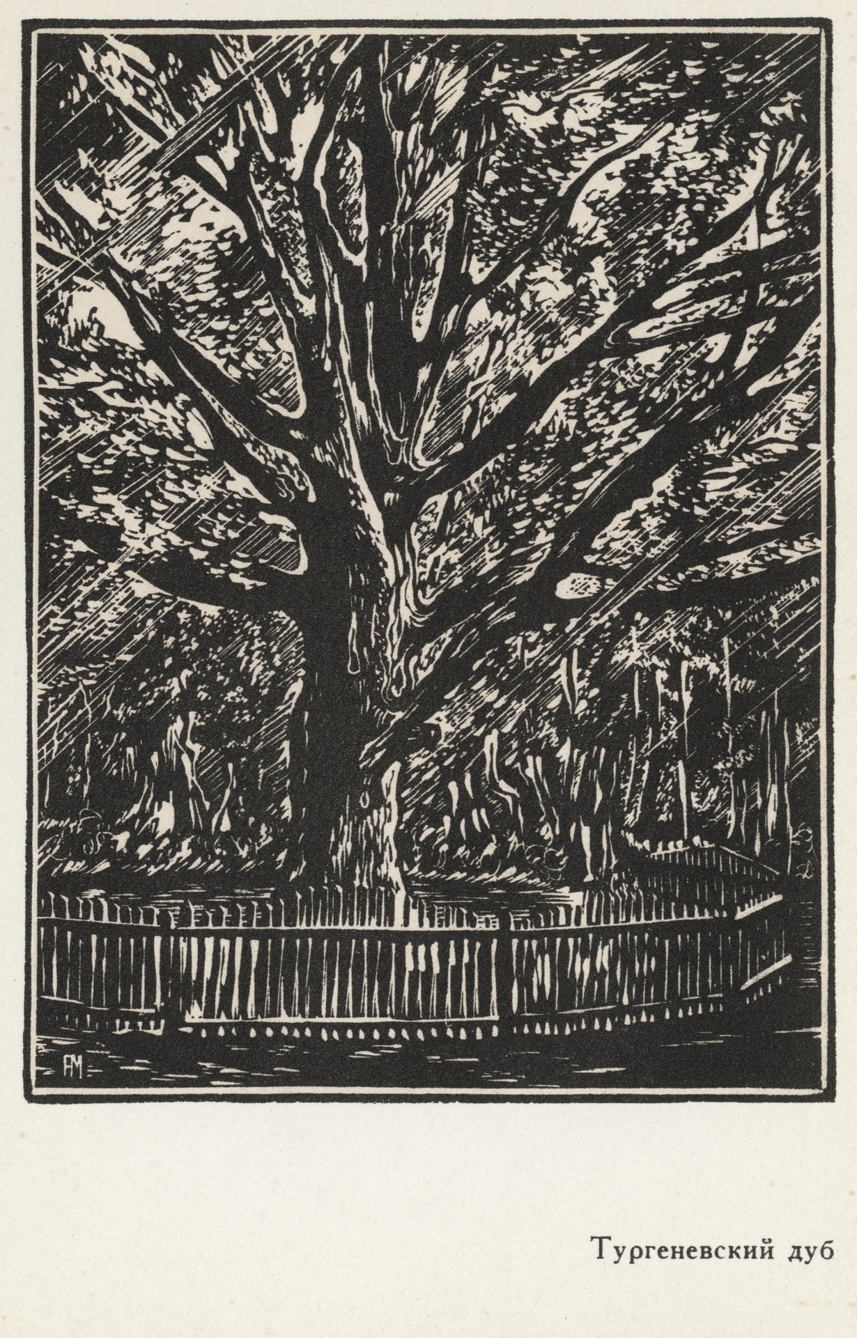 Тургеневский дуб