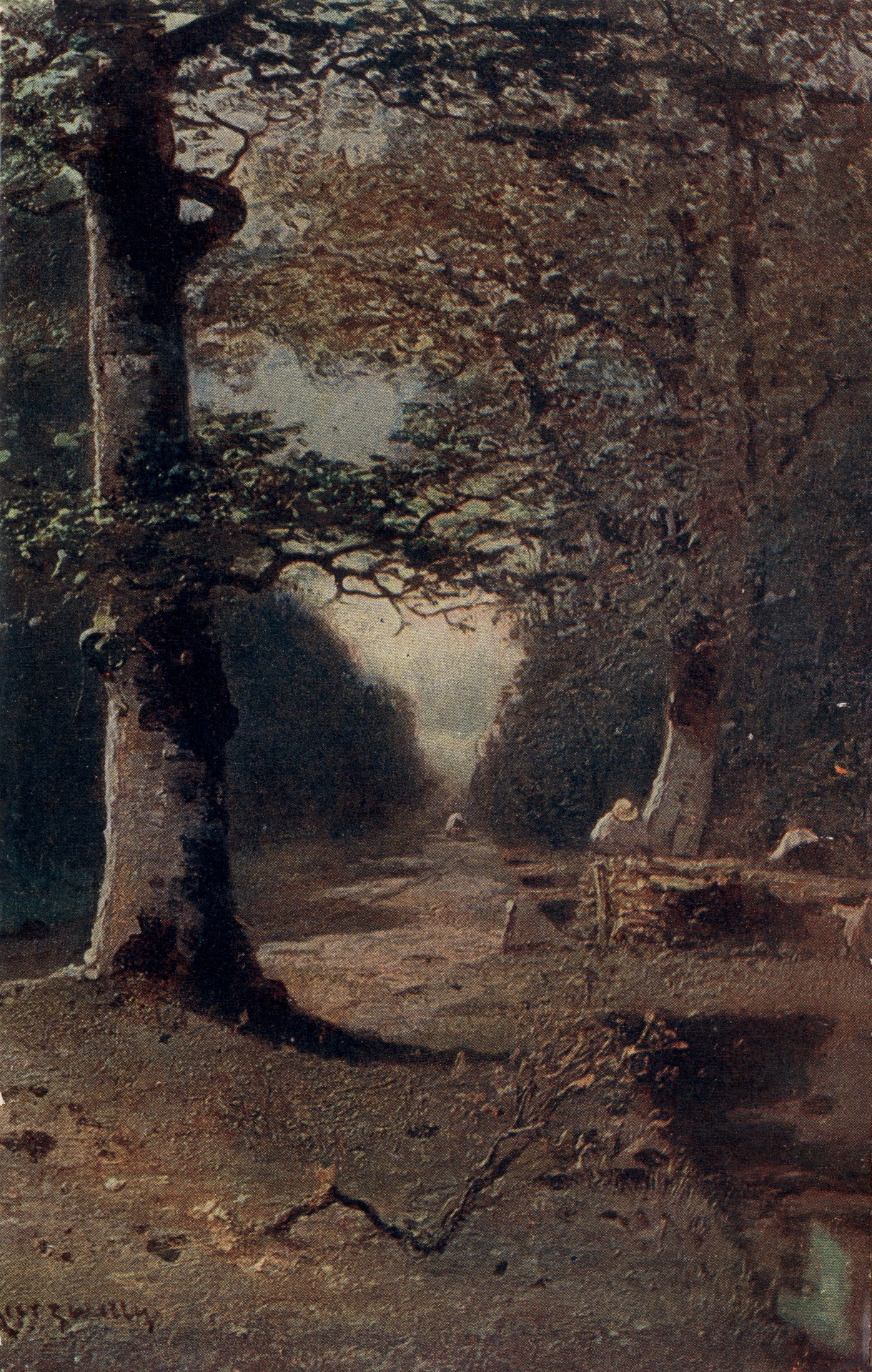 Лесная дорога