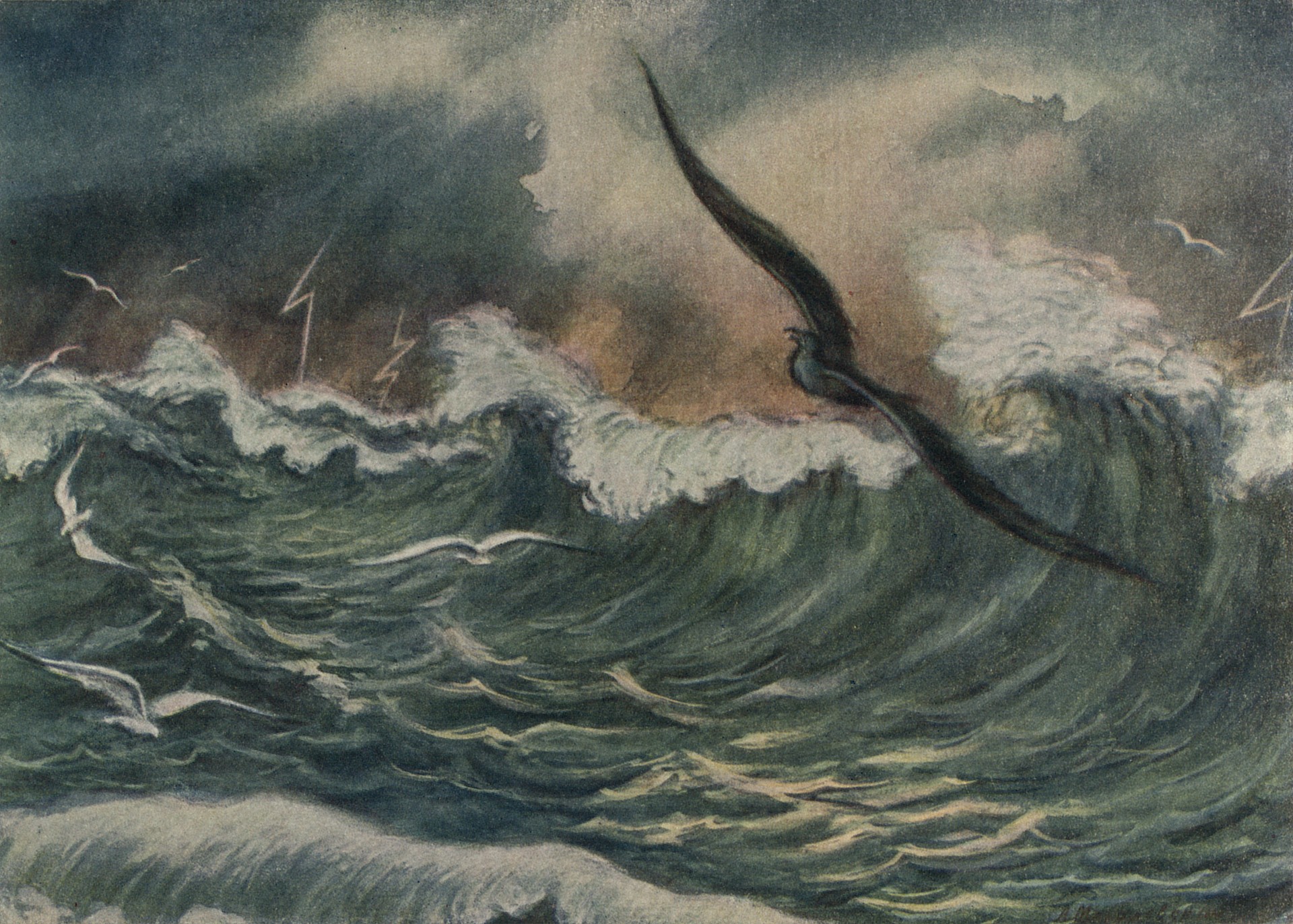 Буревестник