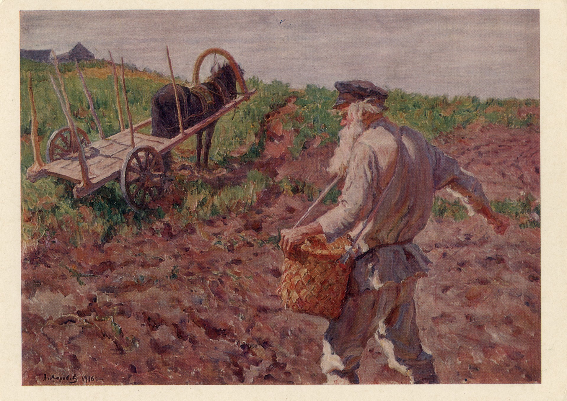 На своей полоске