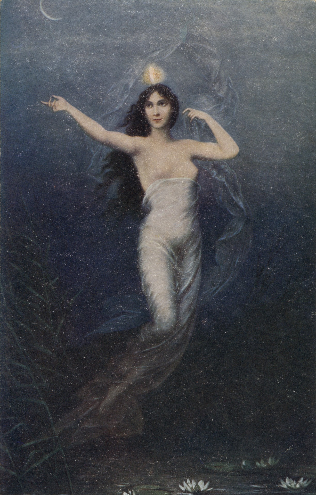 Блуждающая 1