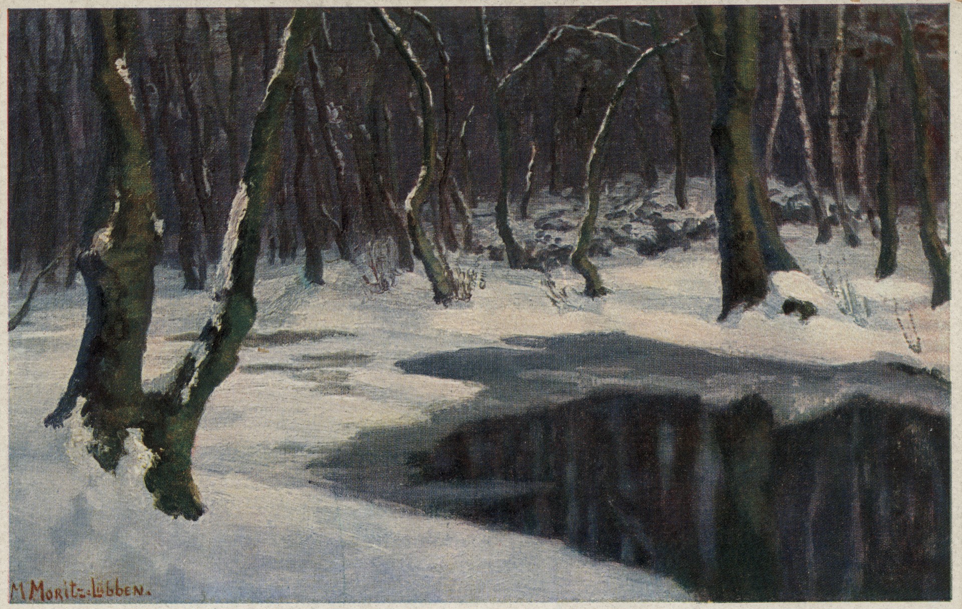 Замёрзший пруд