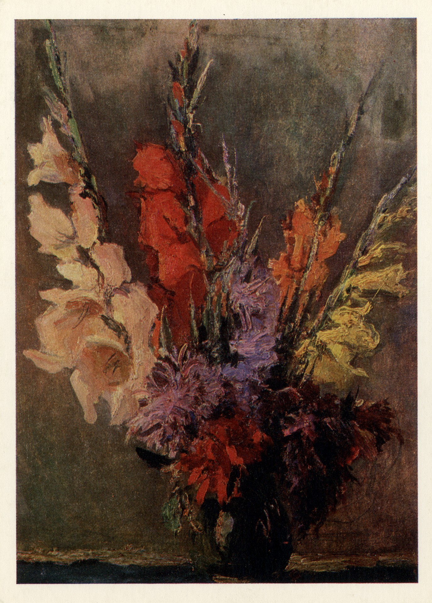 Гладиолусы