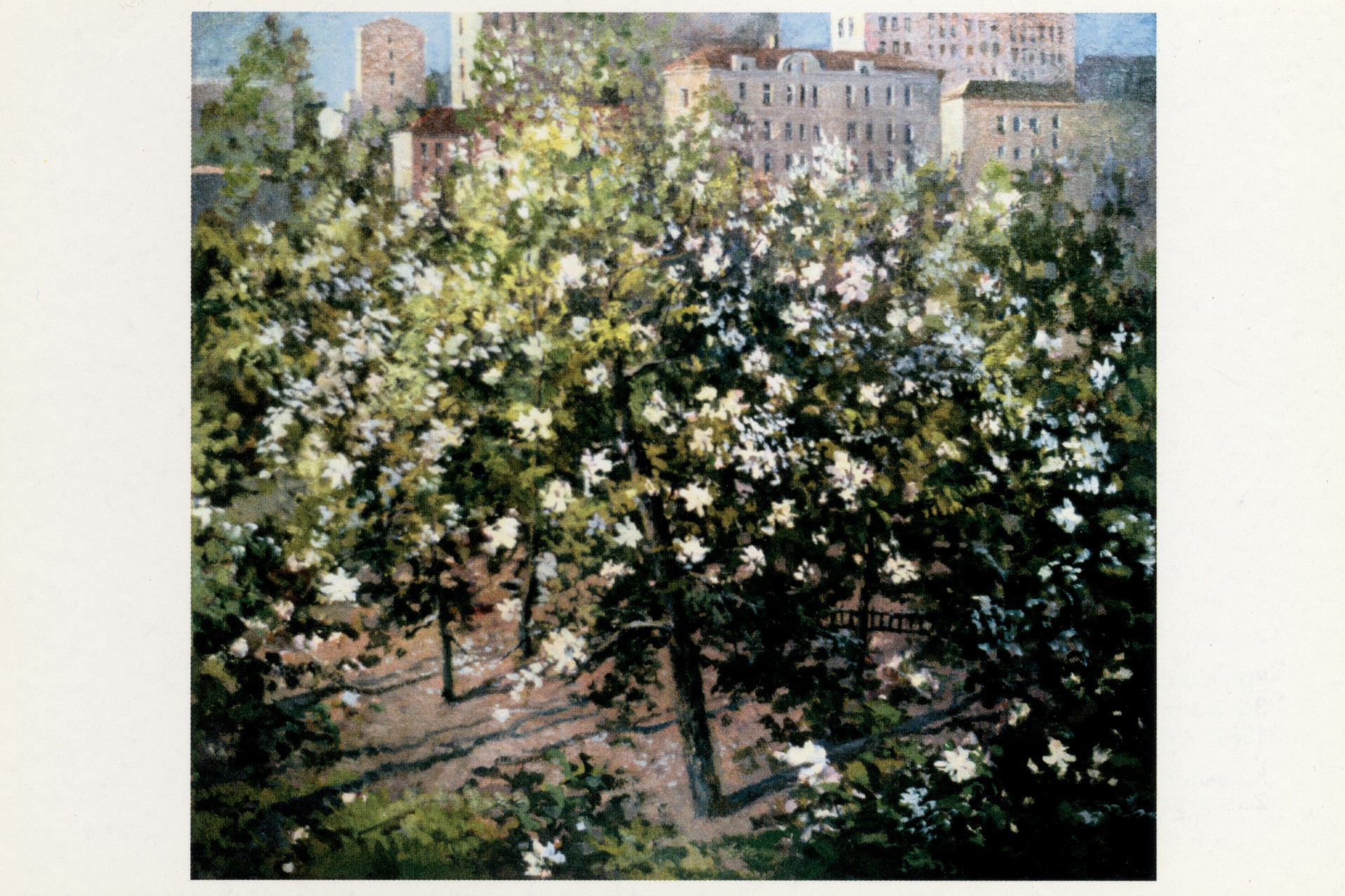 Замоскворечье. Яблони в городе