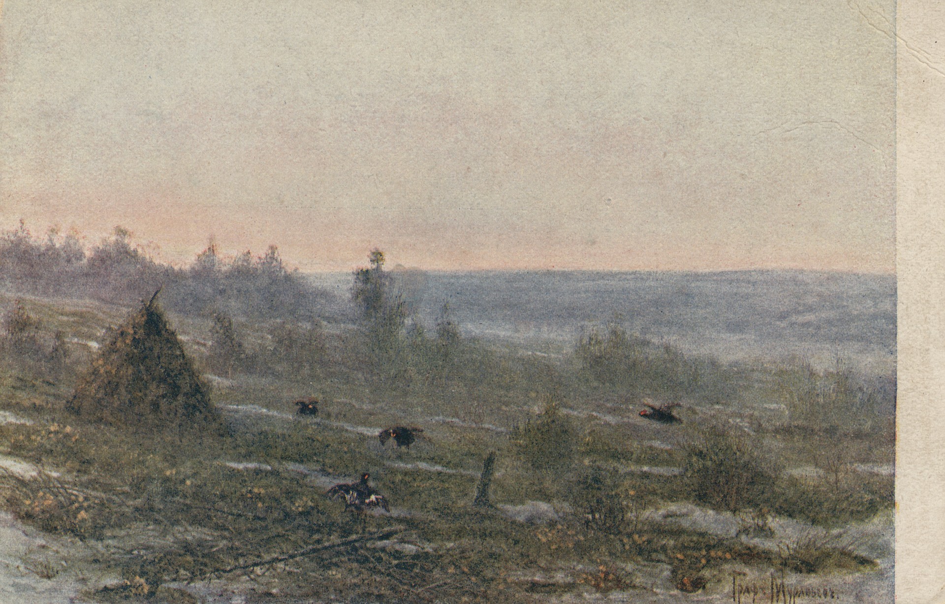 Глухаринный ток