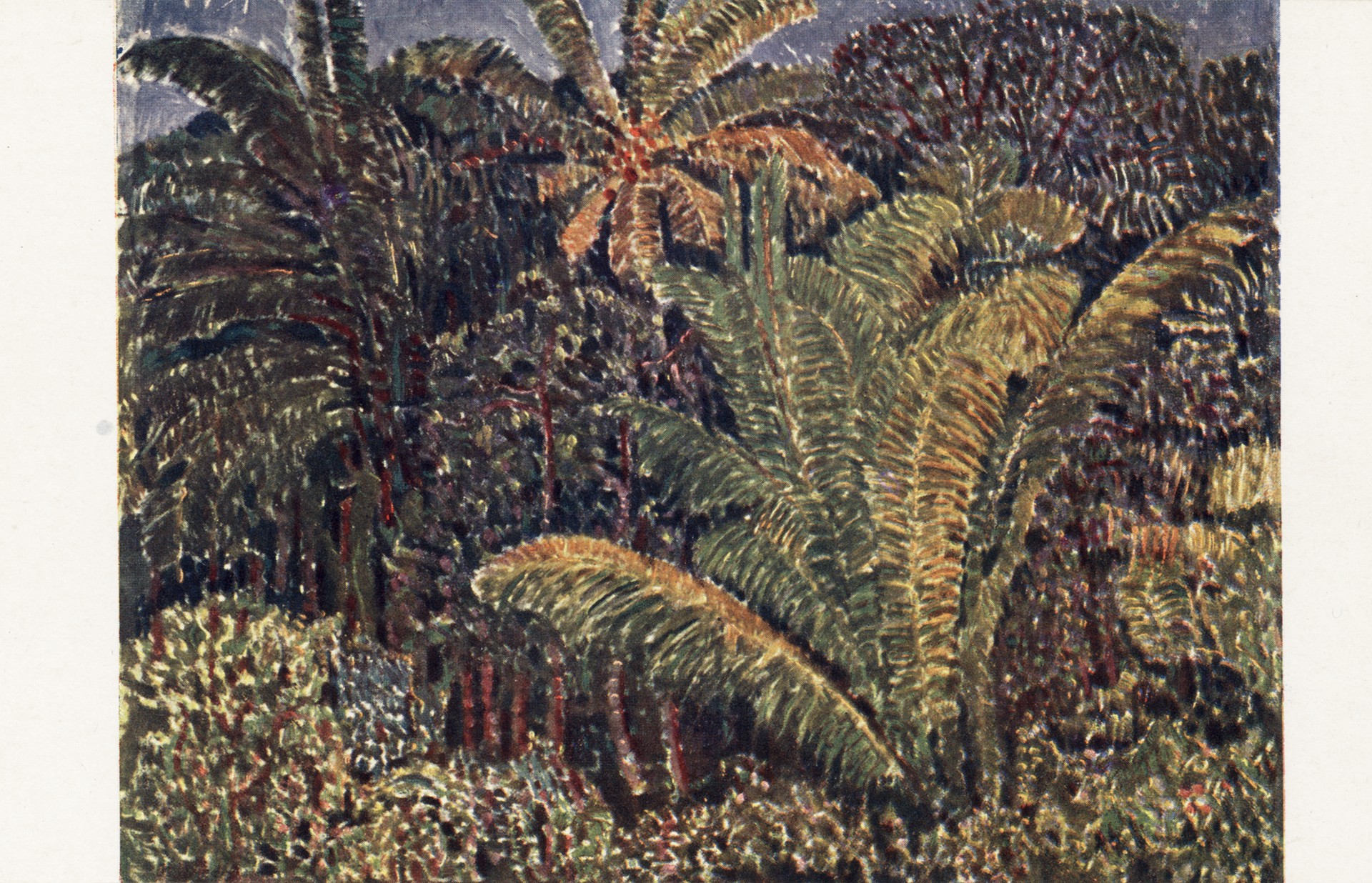 На краю джунглей