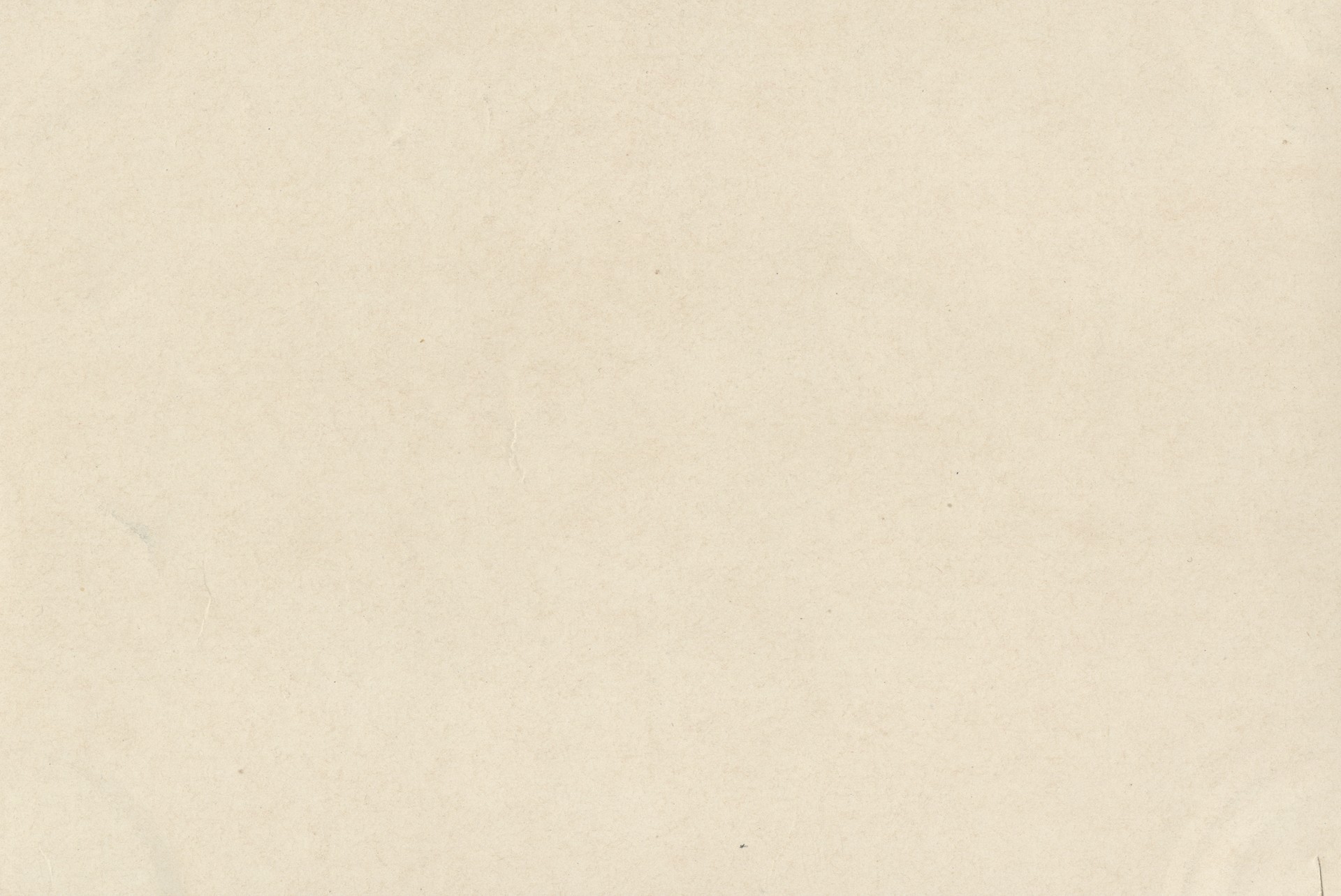 Без имени-188