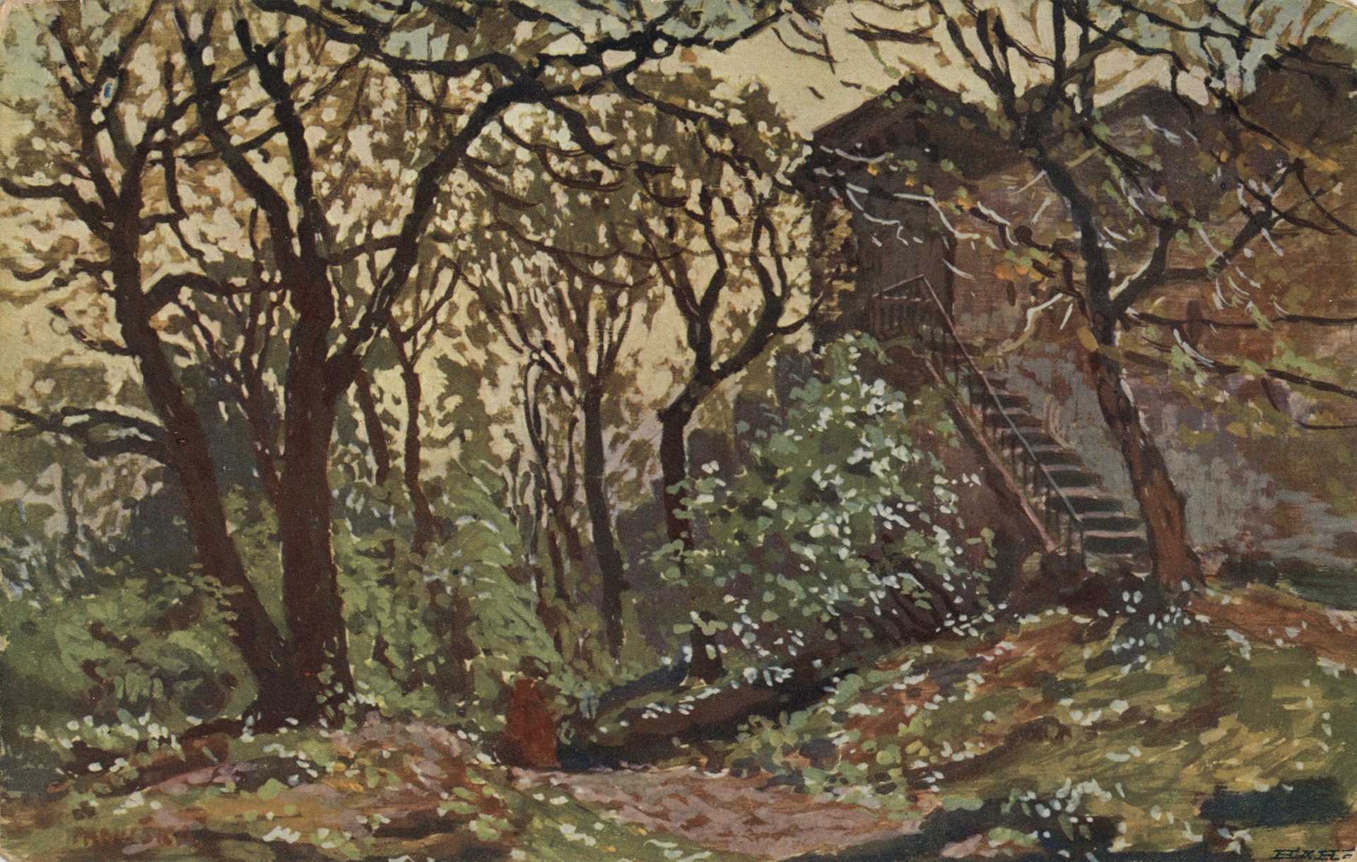 Заросший сад