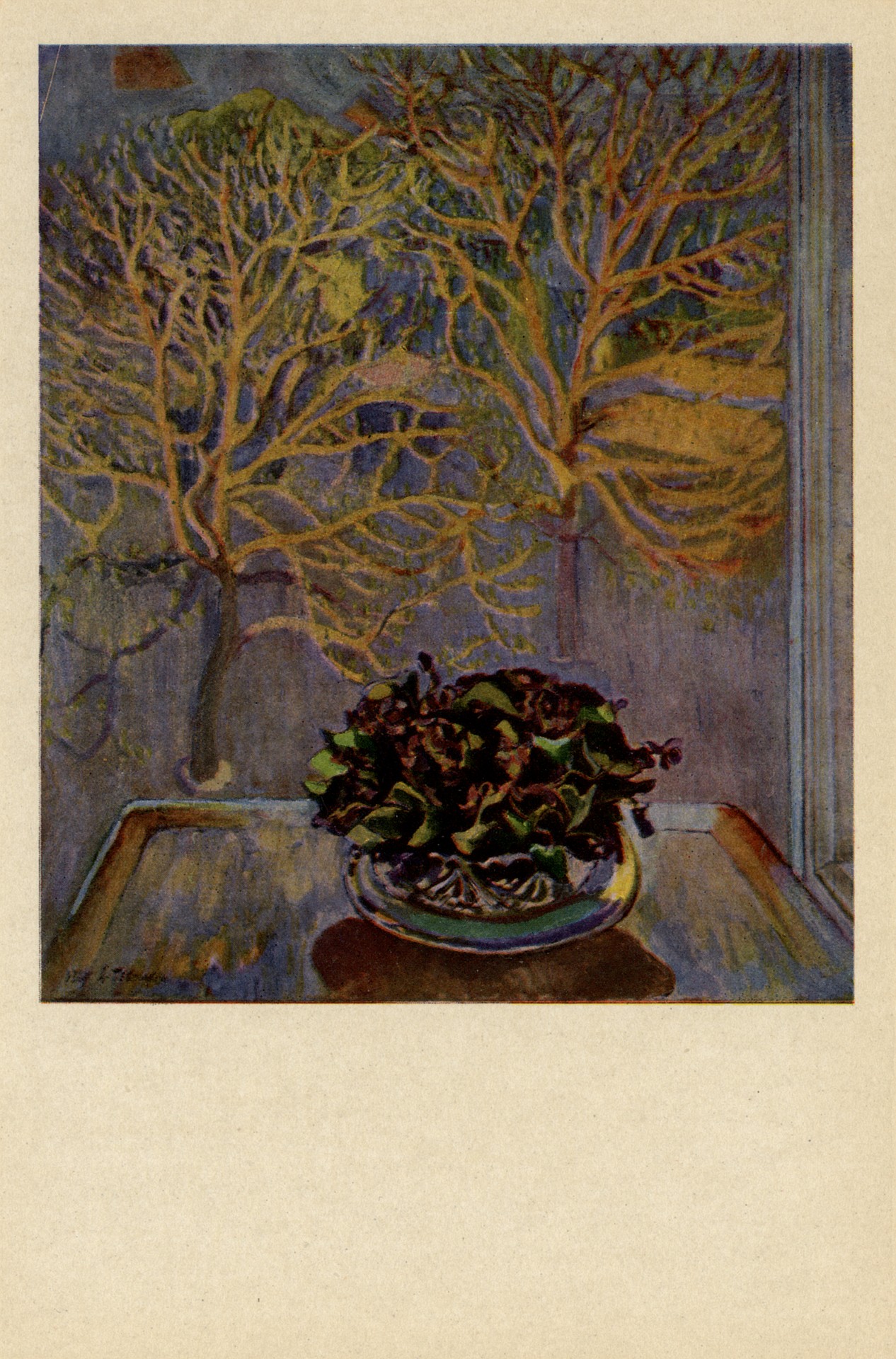 Фиалки. Натюрморт