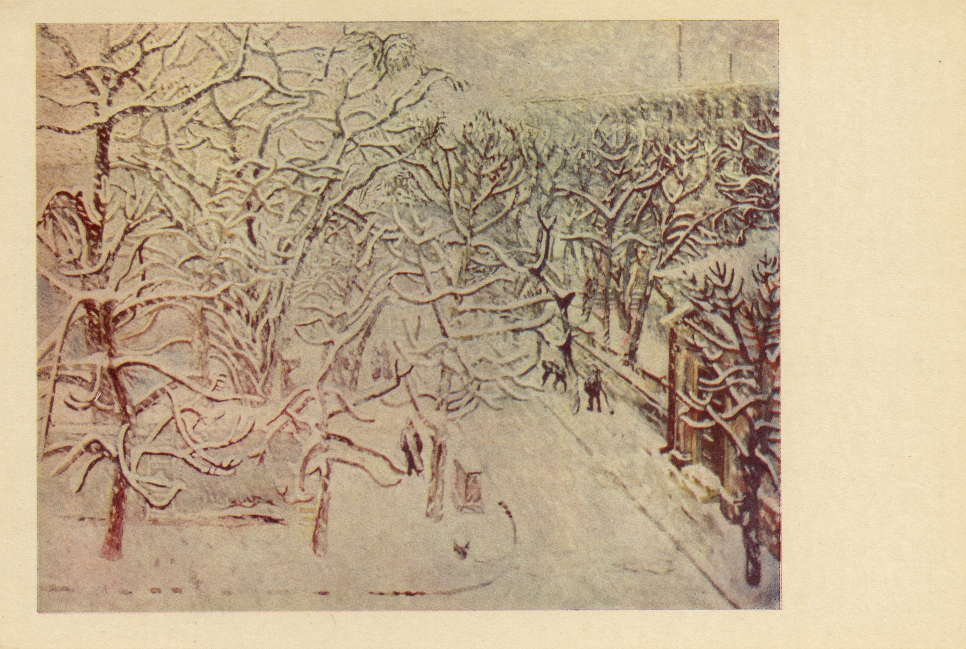 Улица Харькова зимой