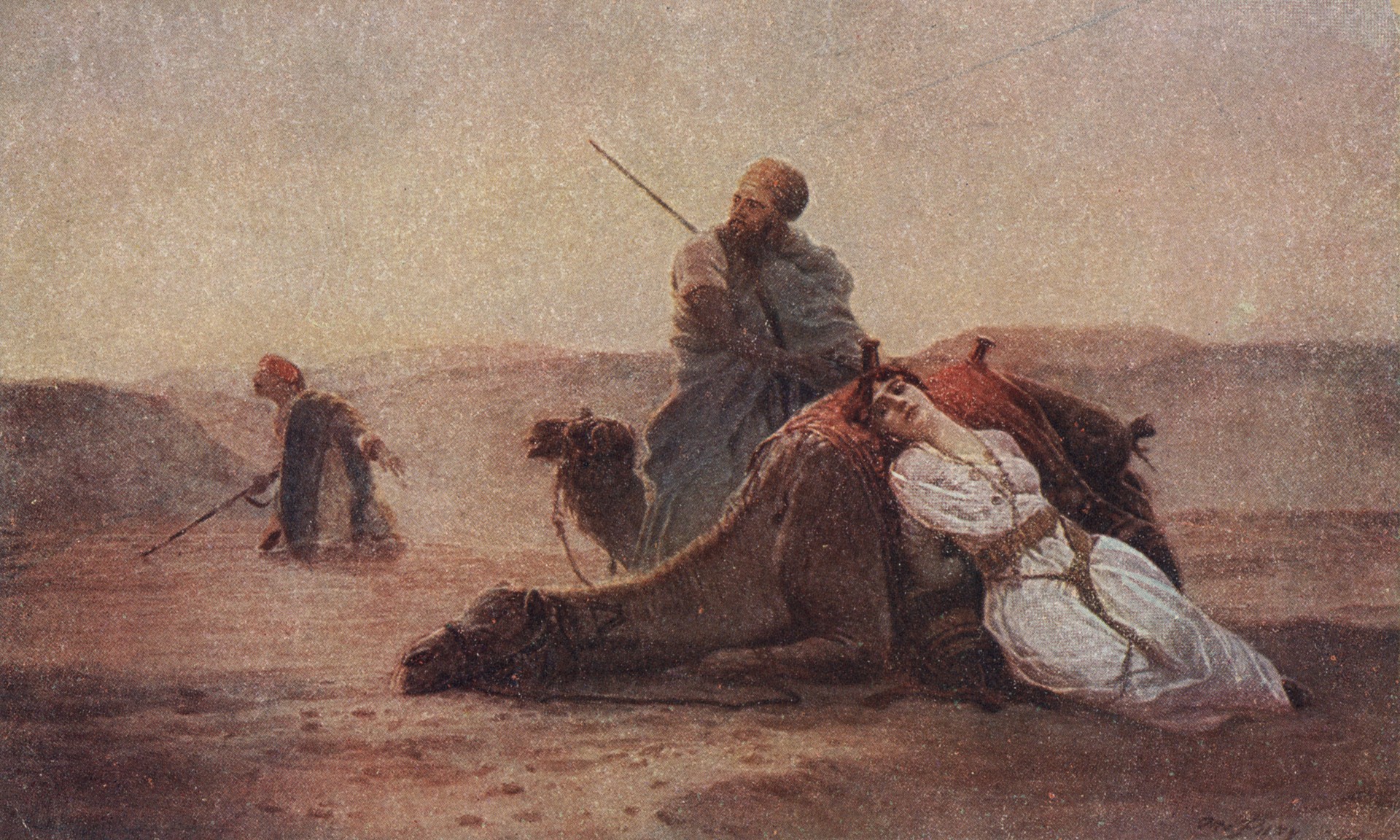 Верблюжий транспорт