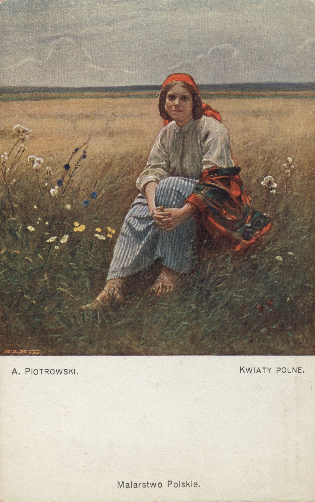 Цветущая поляна