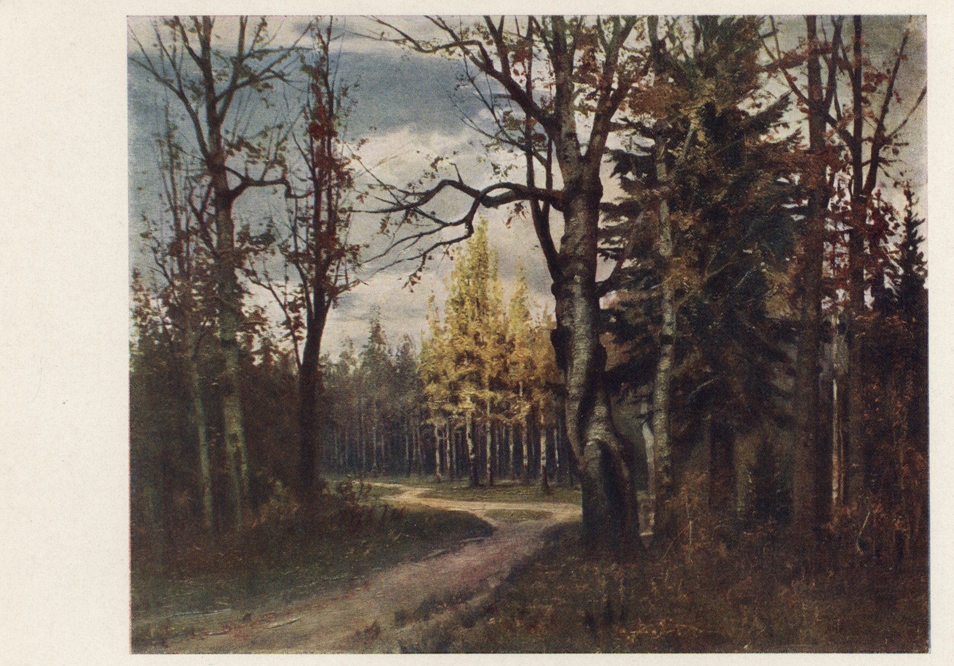 Дорога в лесу