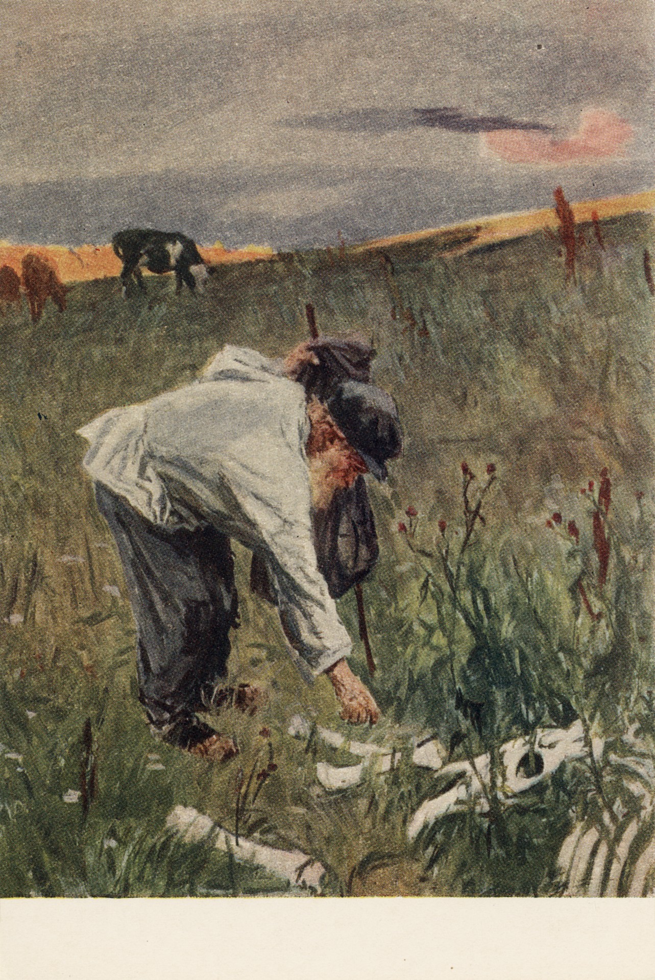 Кости Холстомера