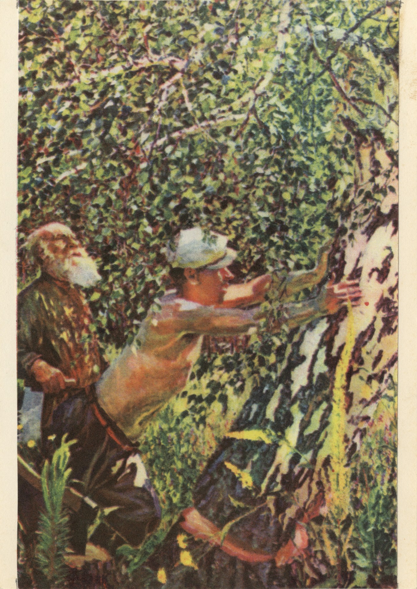 Смерть дерева