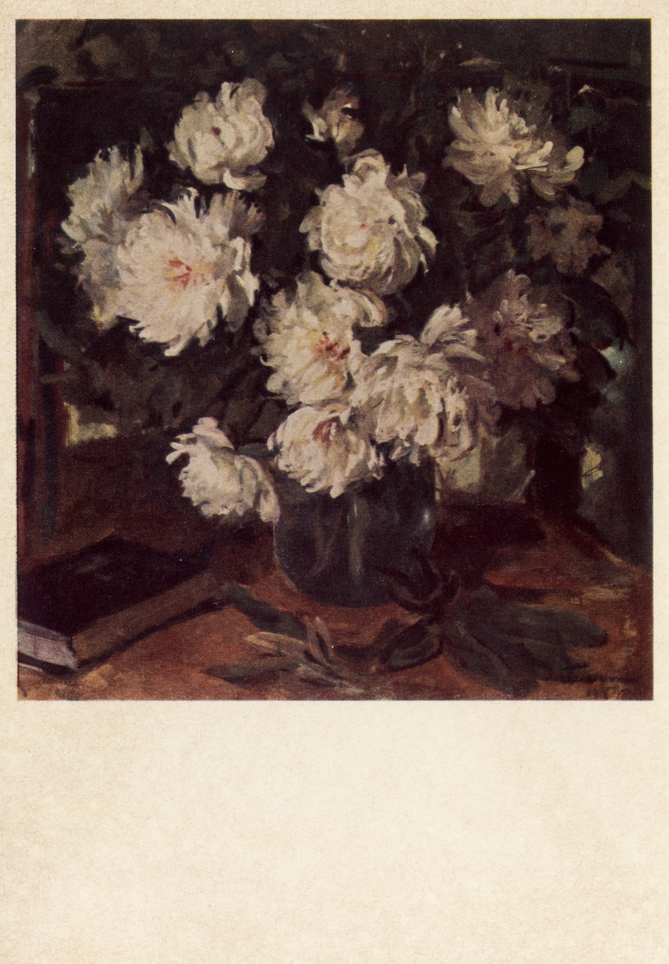 Белые пионы