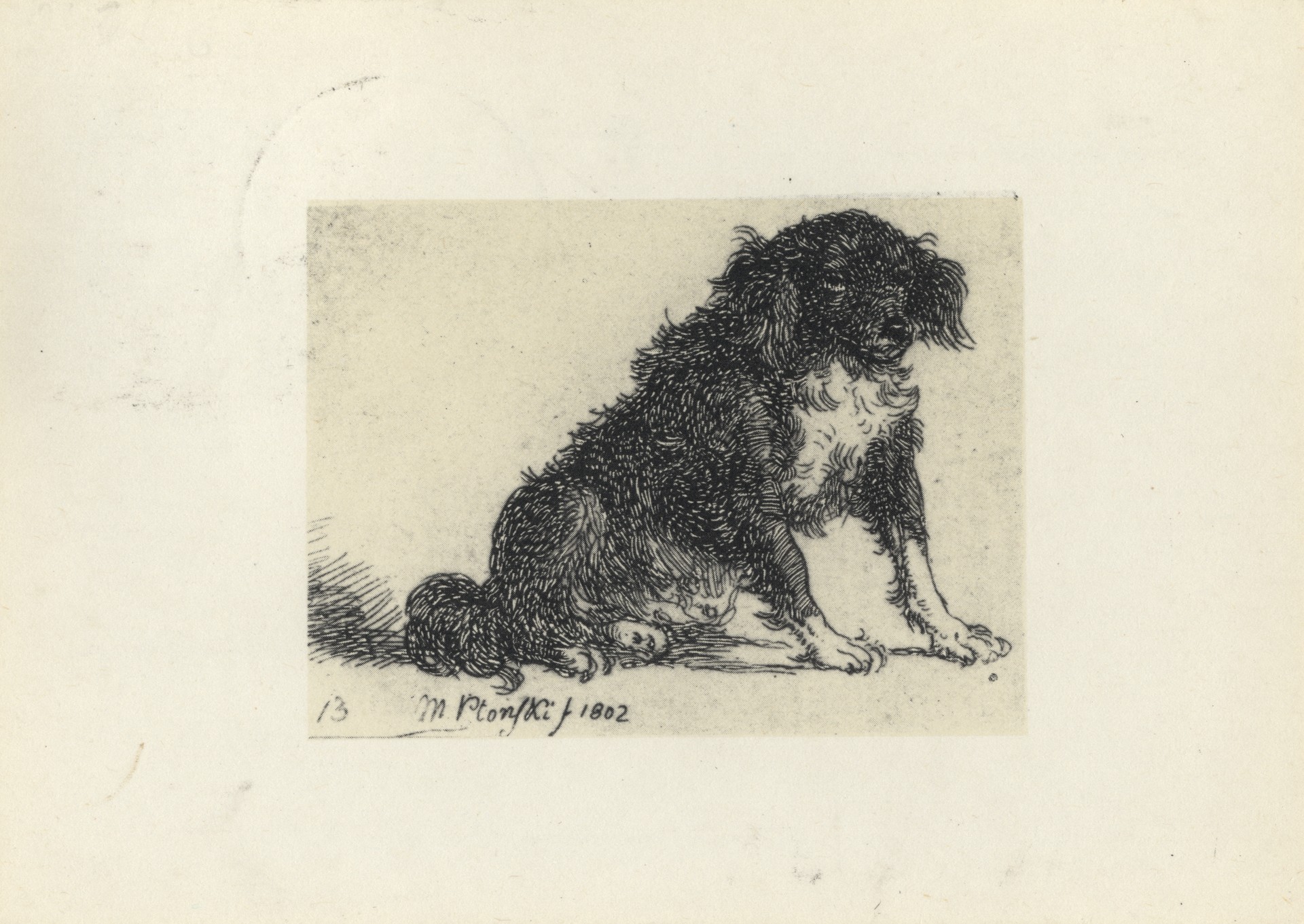 Сидящий пёсик