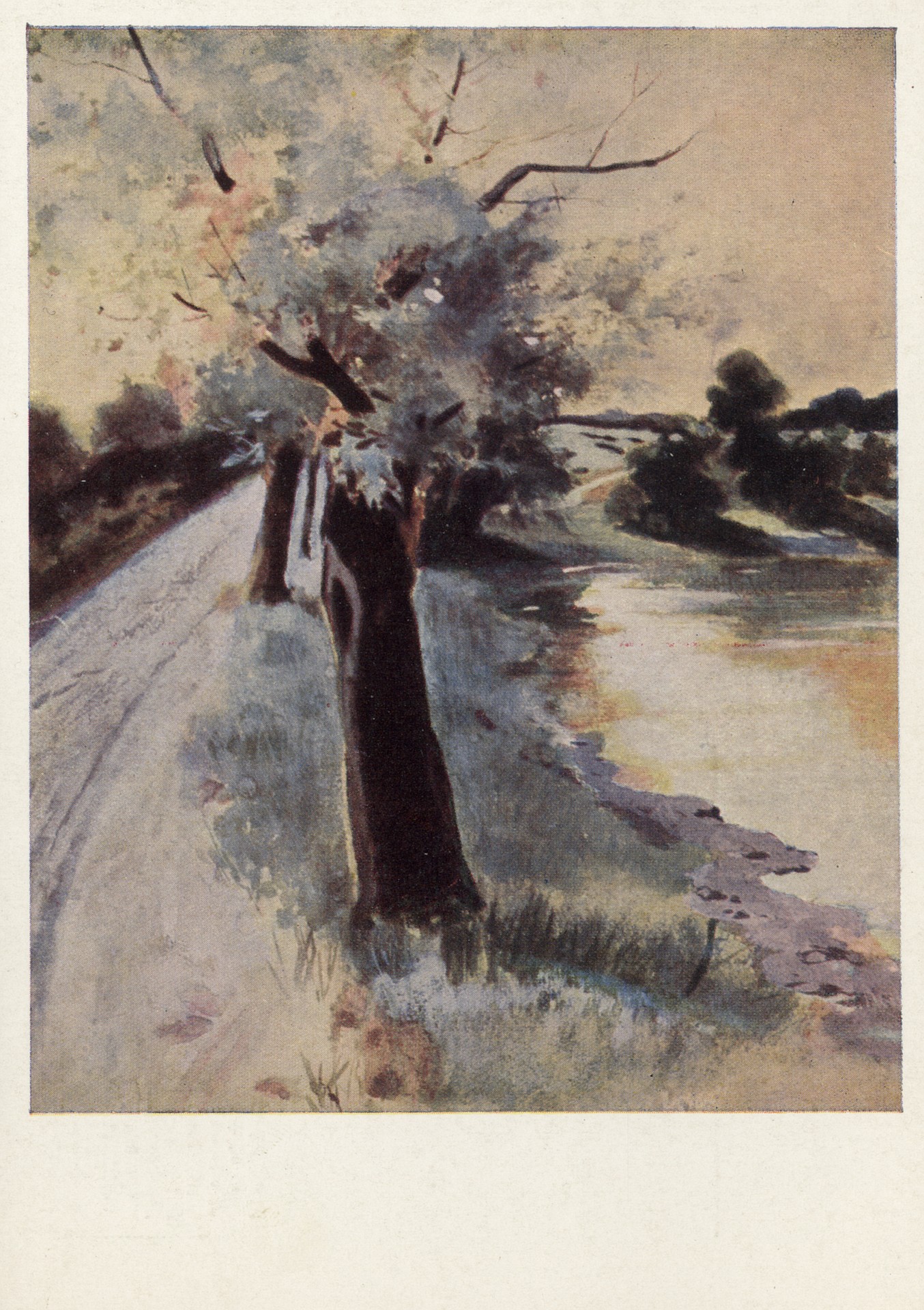 Дорога с вербами